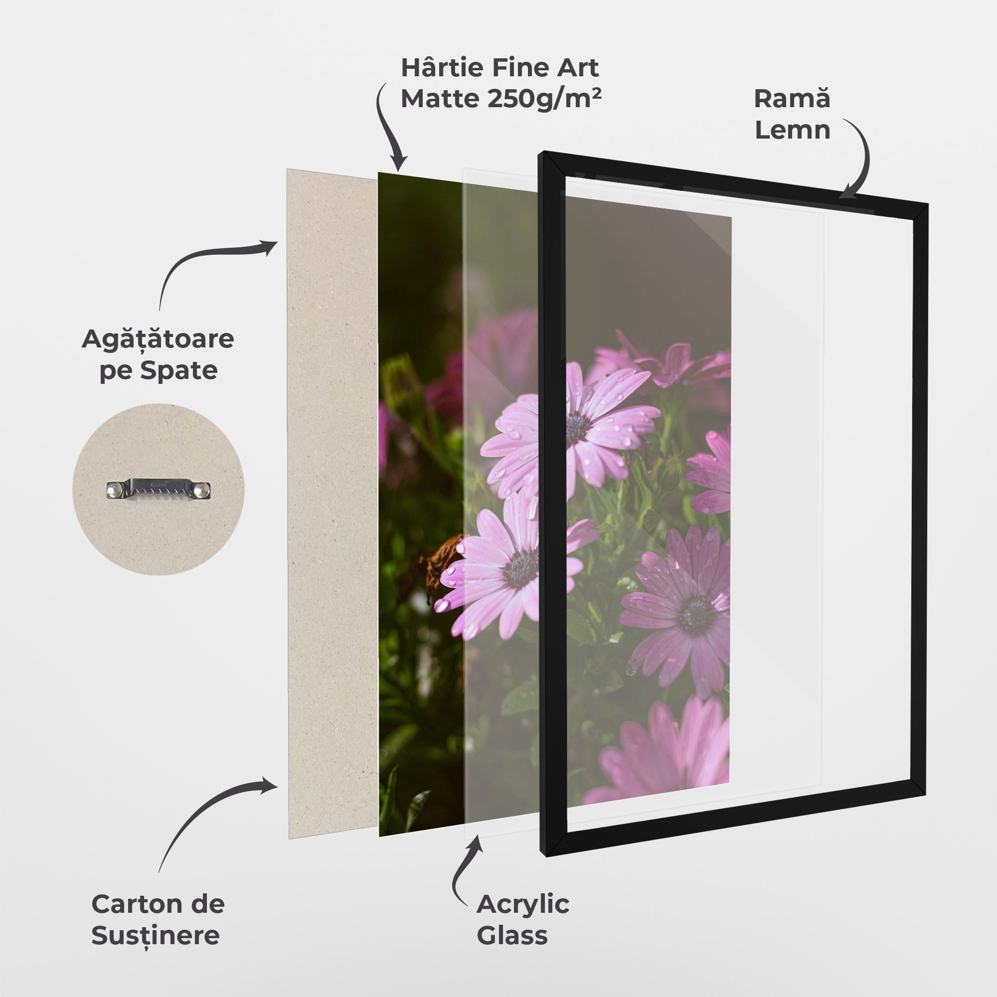 Purple Daisy mockup 1