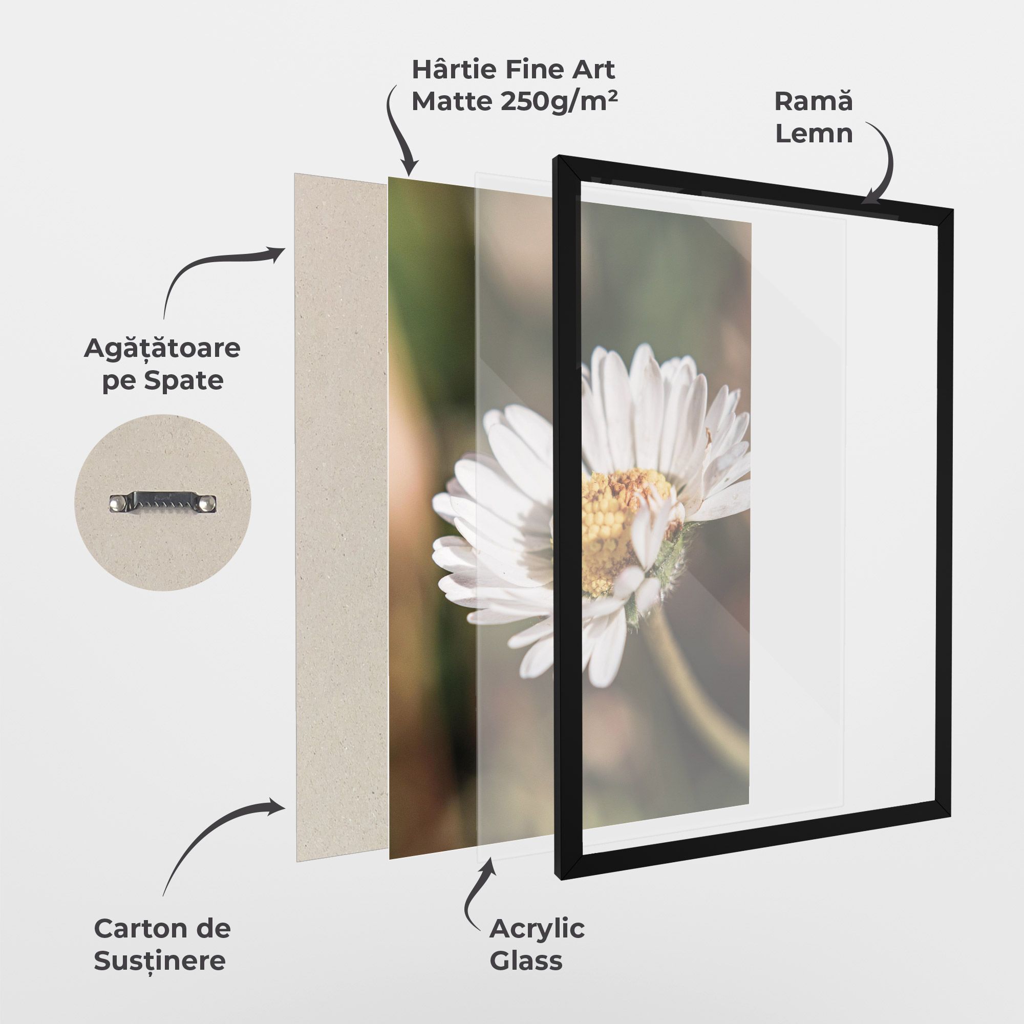 Yellow Pastel Daisy mockup 1