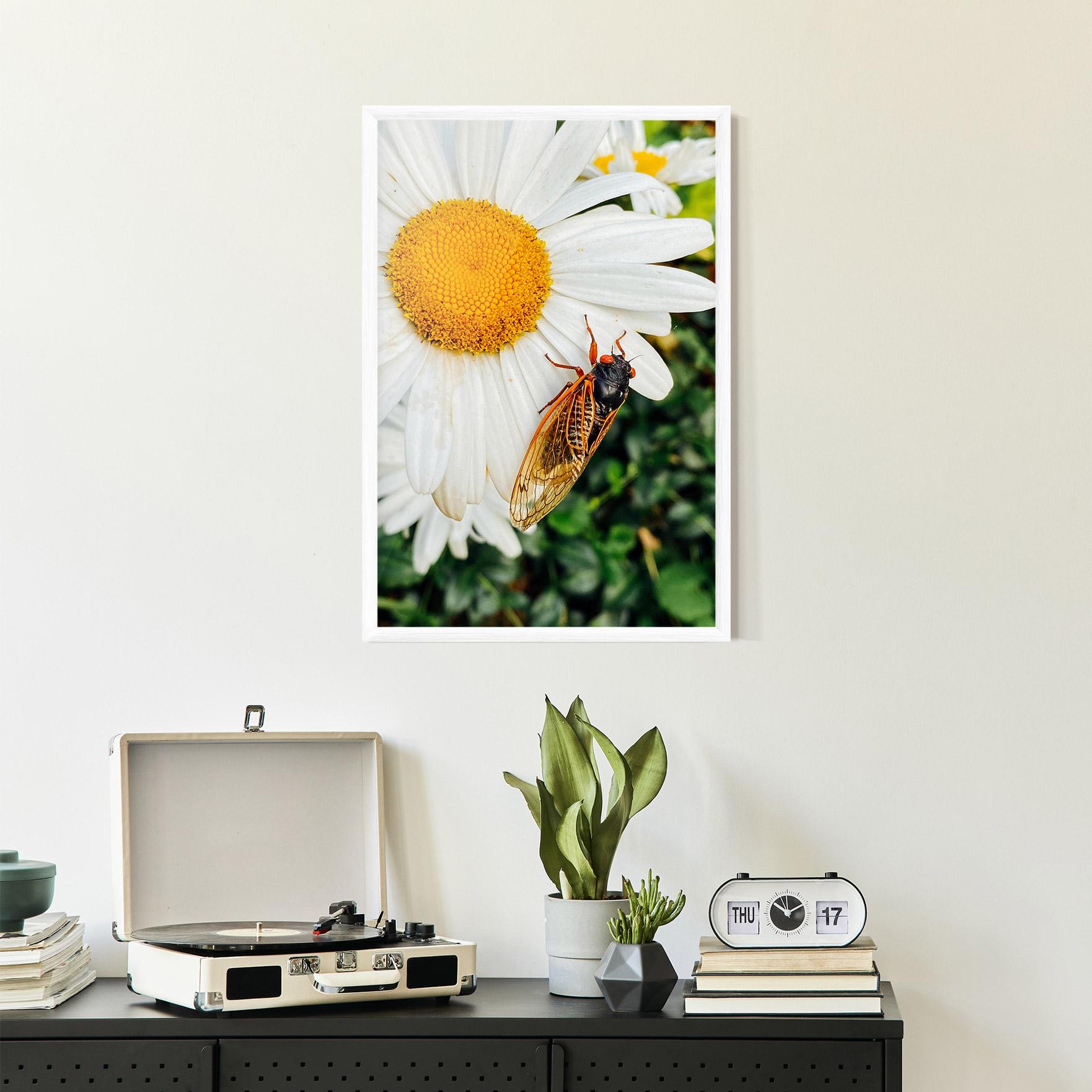 Poster Înrămat Bug On The Daisy mockup 2