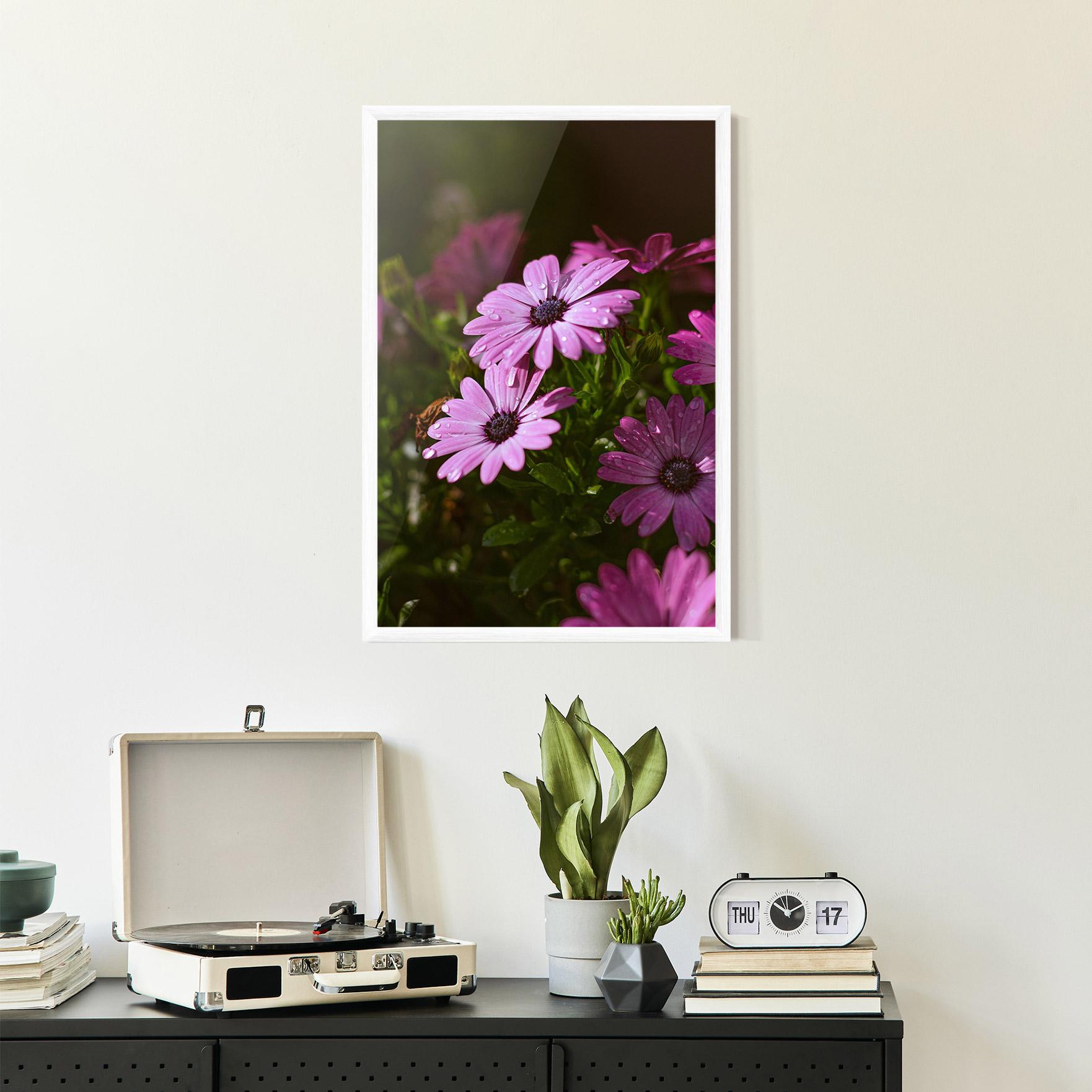 Poster Înrămat Purple Daisy mockup 2
