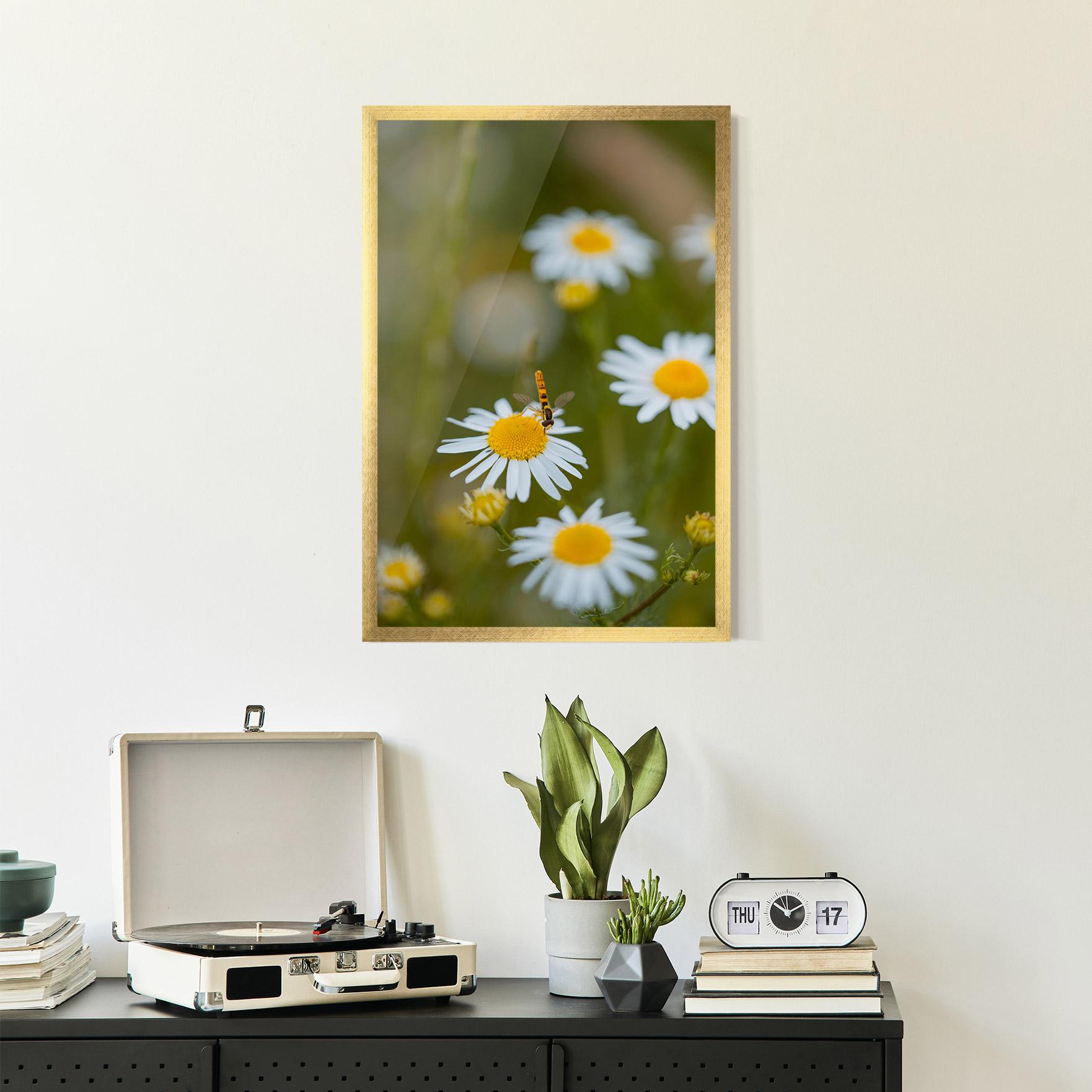 Poster Înrămat Bug On Small Daisy mockup 2