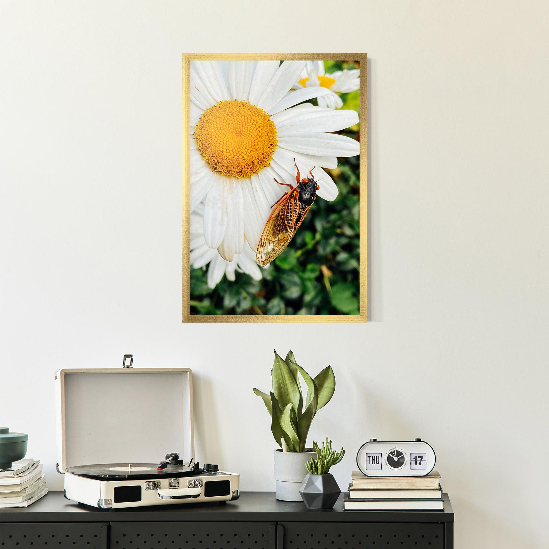 Poster Înrămat Bug On The Daisy mockup 2
