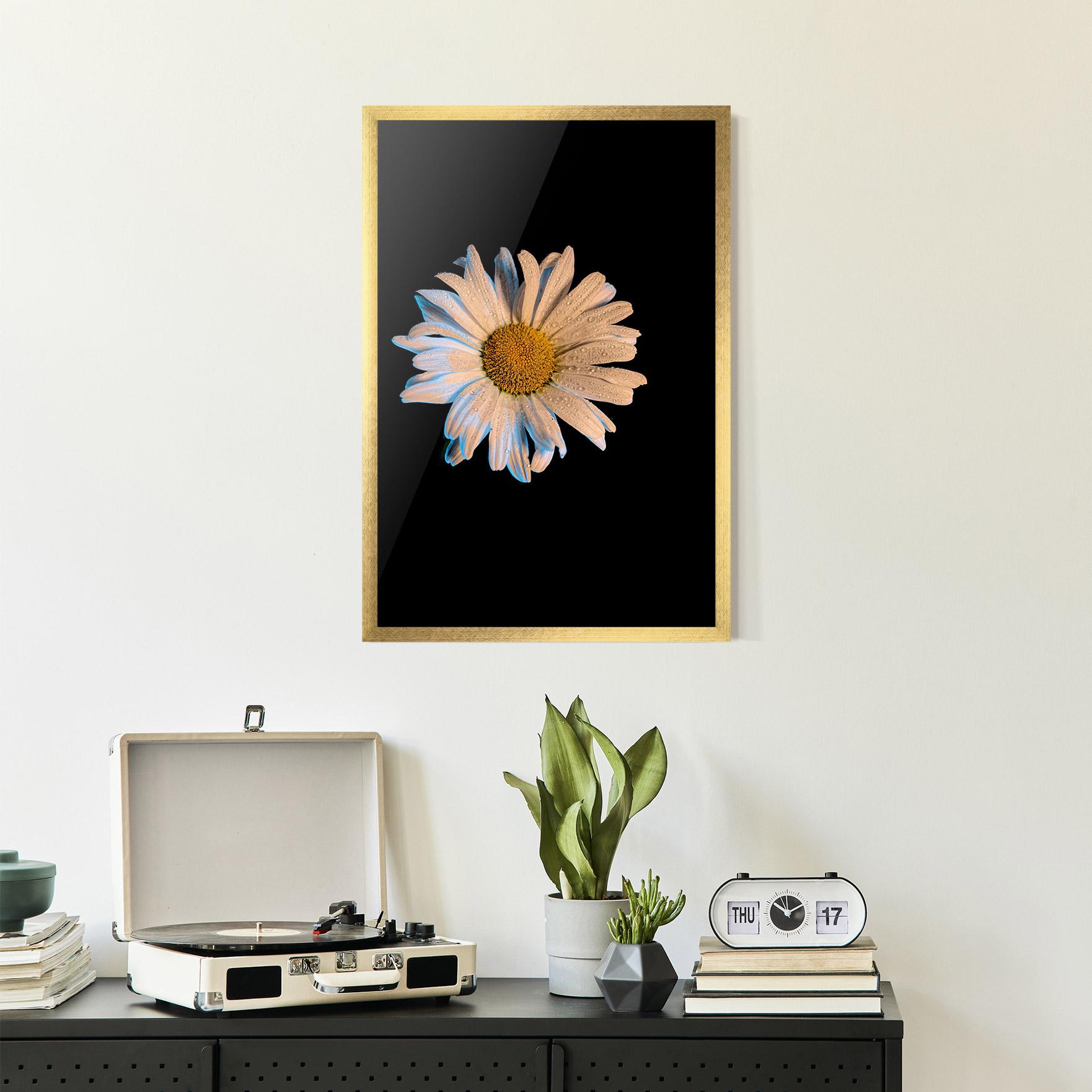 Poster Înrămat Daisy mockup 2