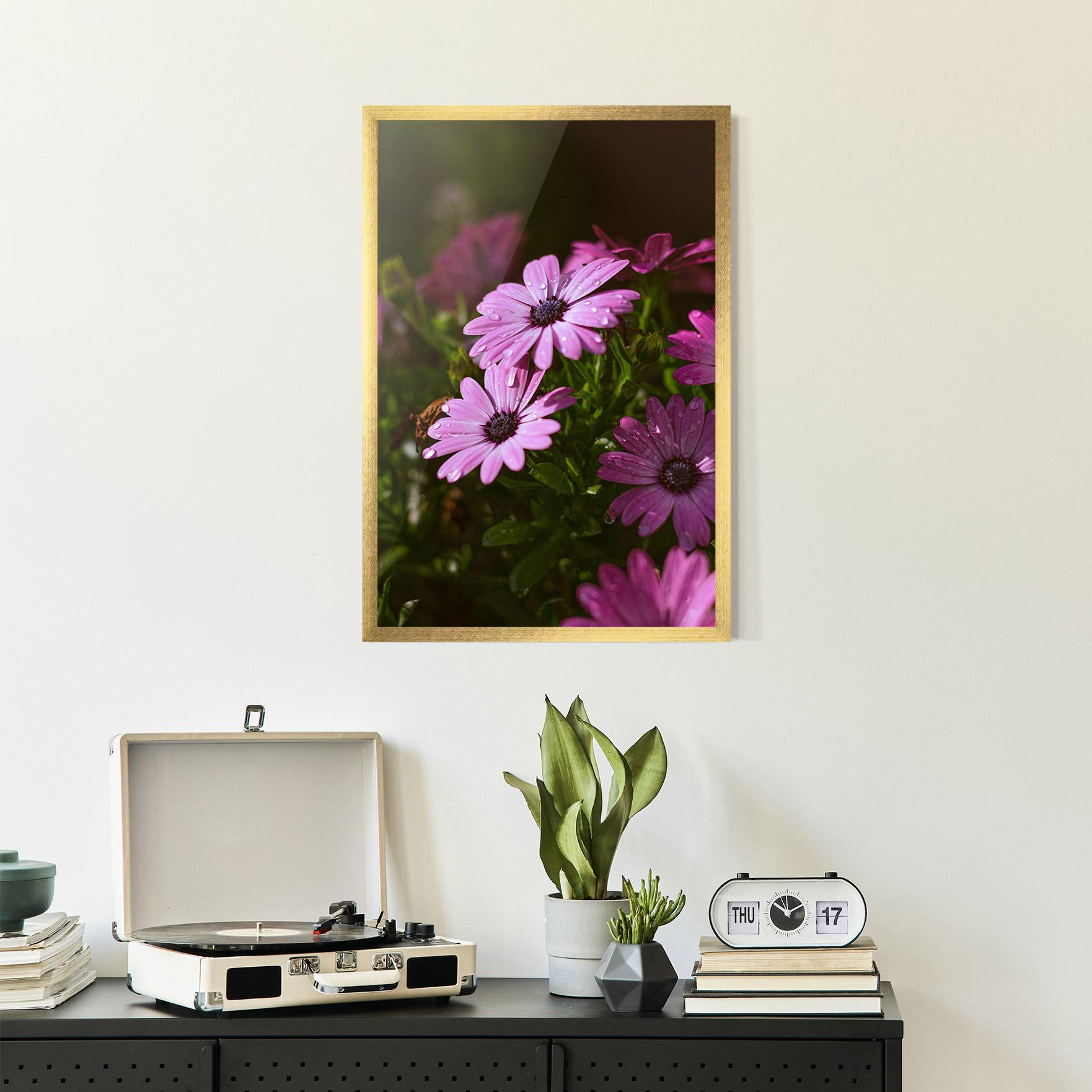 Poster Înrămat Purple Daisy mockup 2