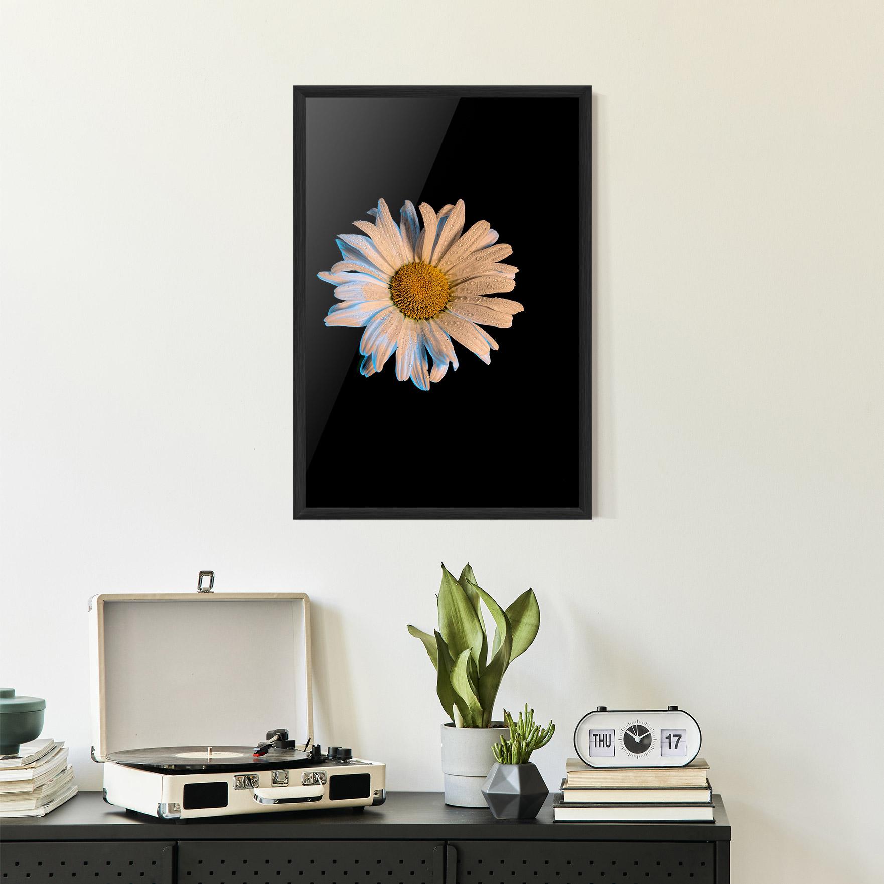 Poster Înrămat Daisy mockup 2