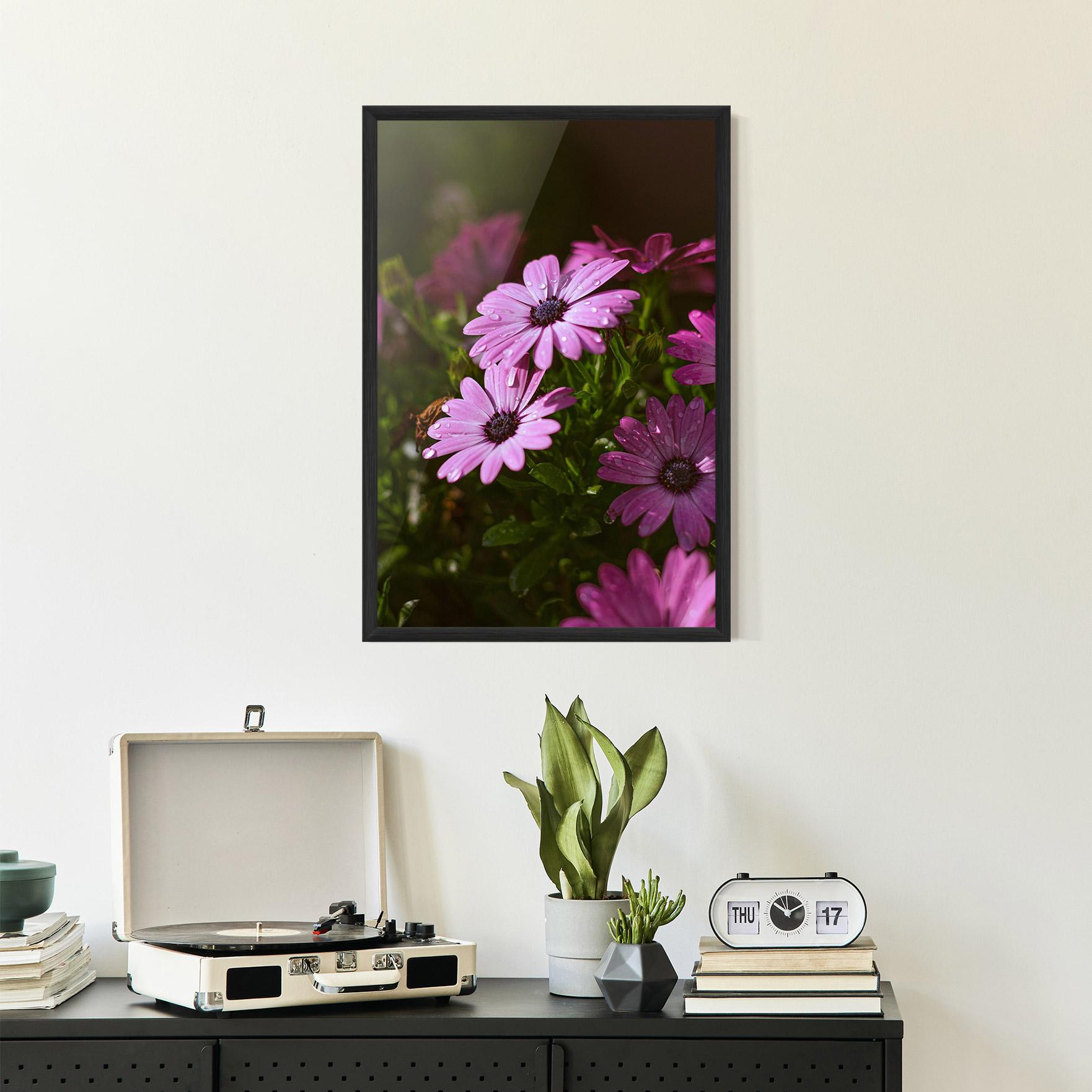 Poster Înrămat Purple Daisy mockup 2