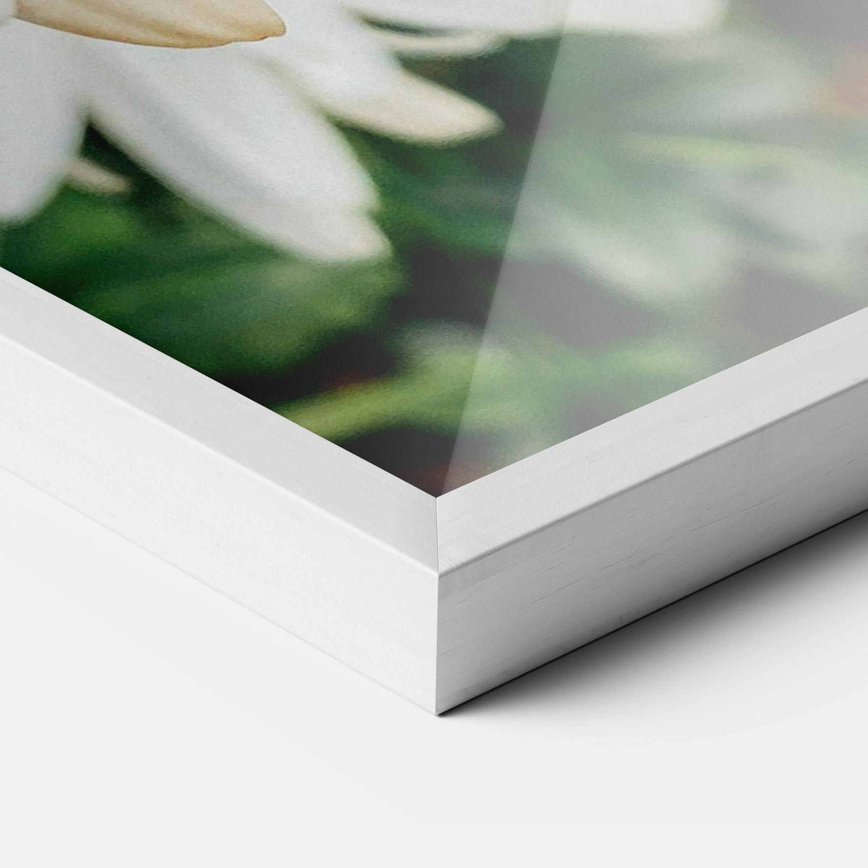 Poster Înrămat Bug On The Daisy mockup 3