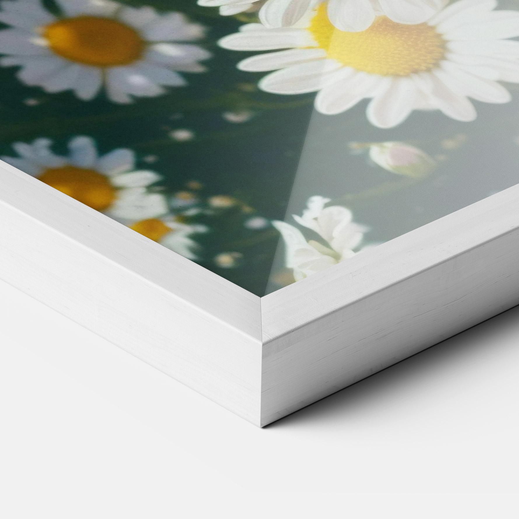 Poster Înrămat Daisy Field View mockup 3