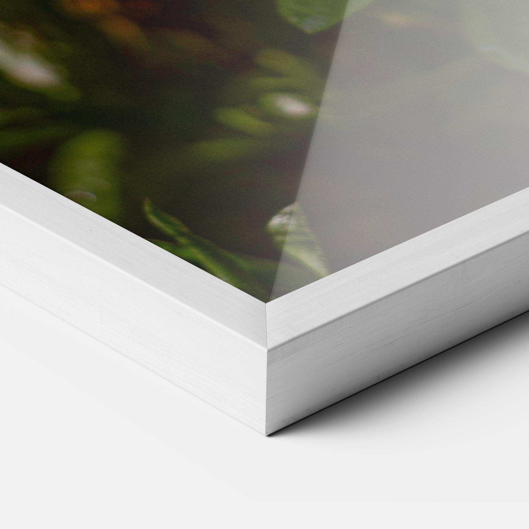 Poster Înrămat Purple Daisy mockup 3