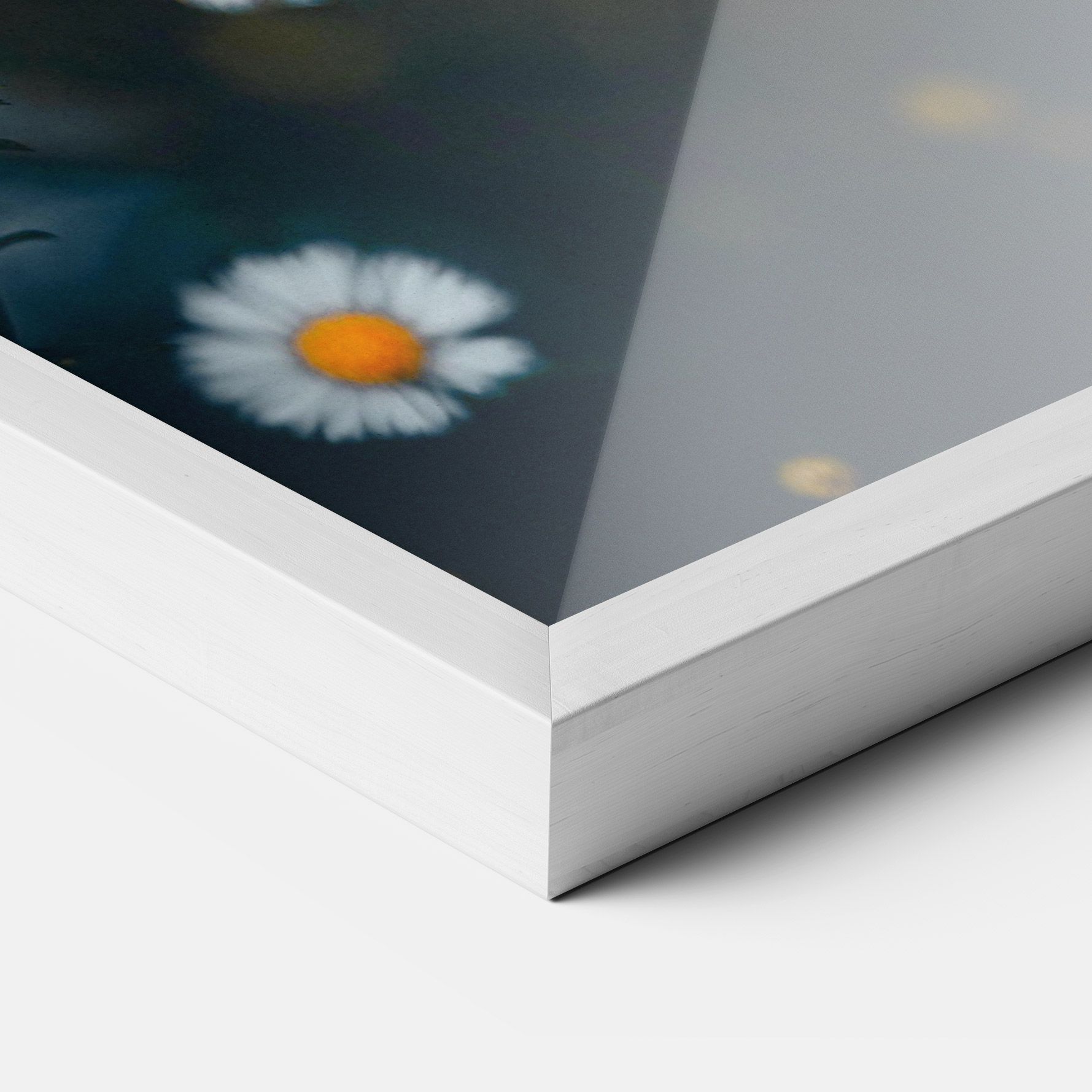 Small Daisy View mockup 3