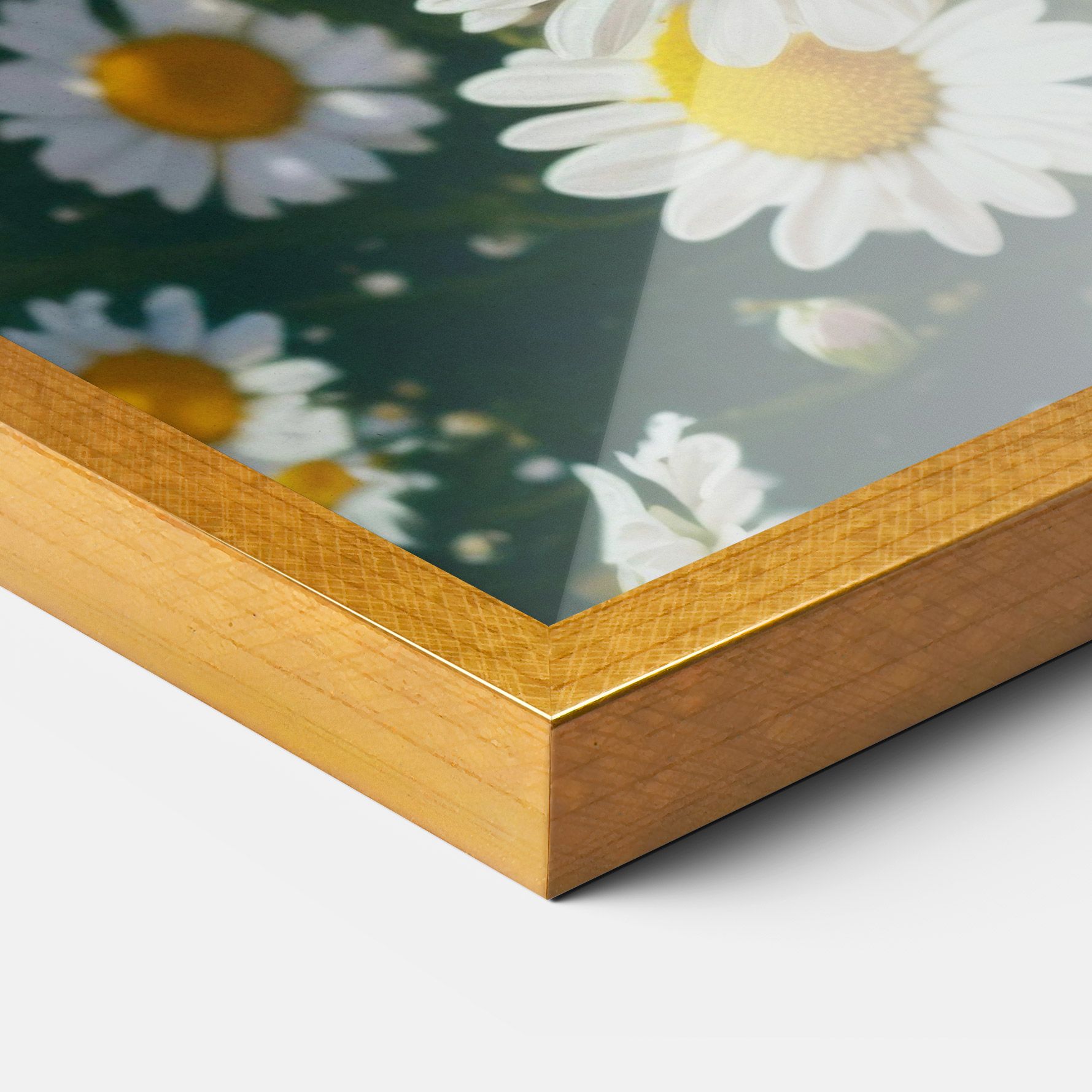 Daisy Field View mockup 3