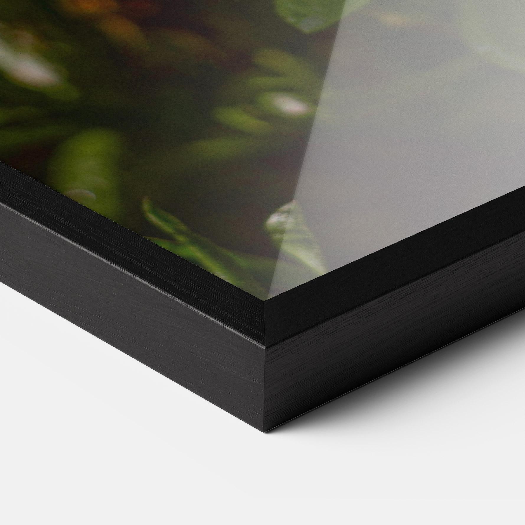 Poster Înrămat Purple Daisy mockup 3