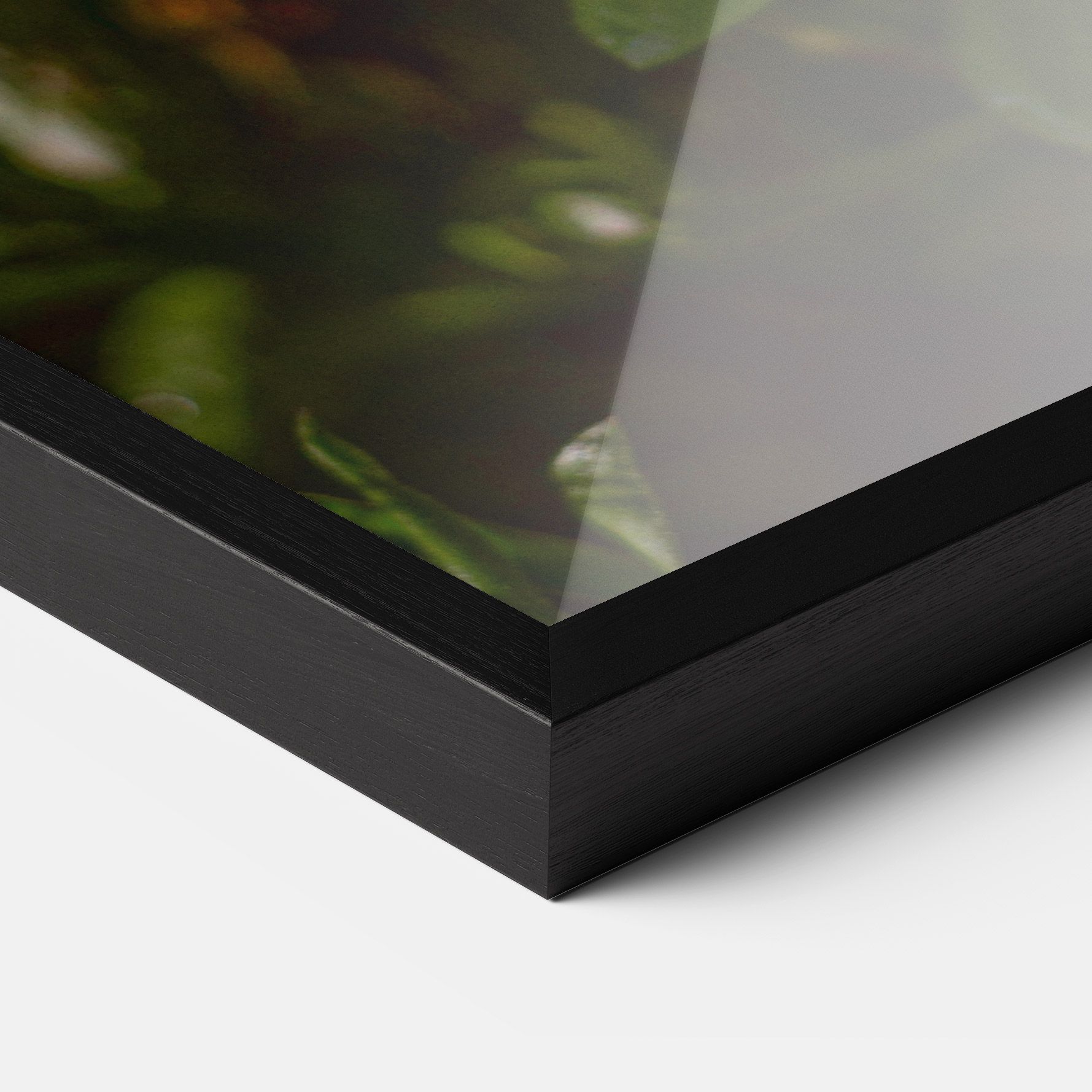 Purple Daisy mockup 3