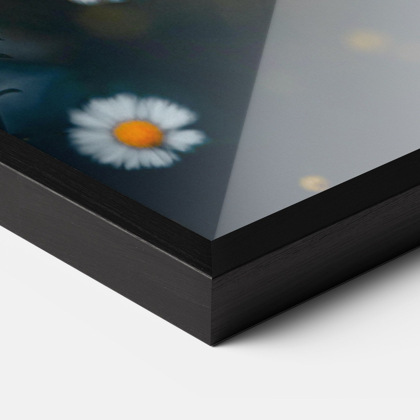 Small Daisy View mockup 3