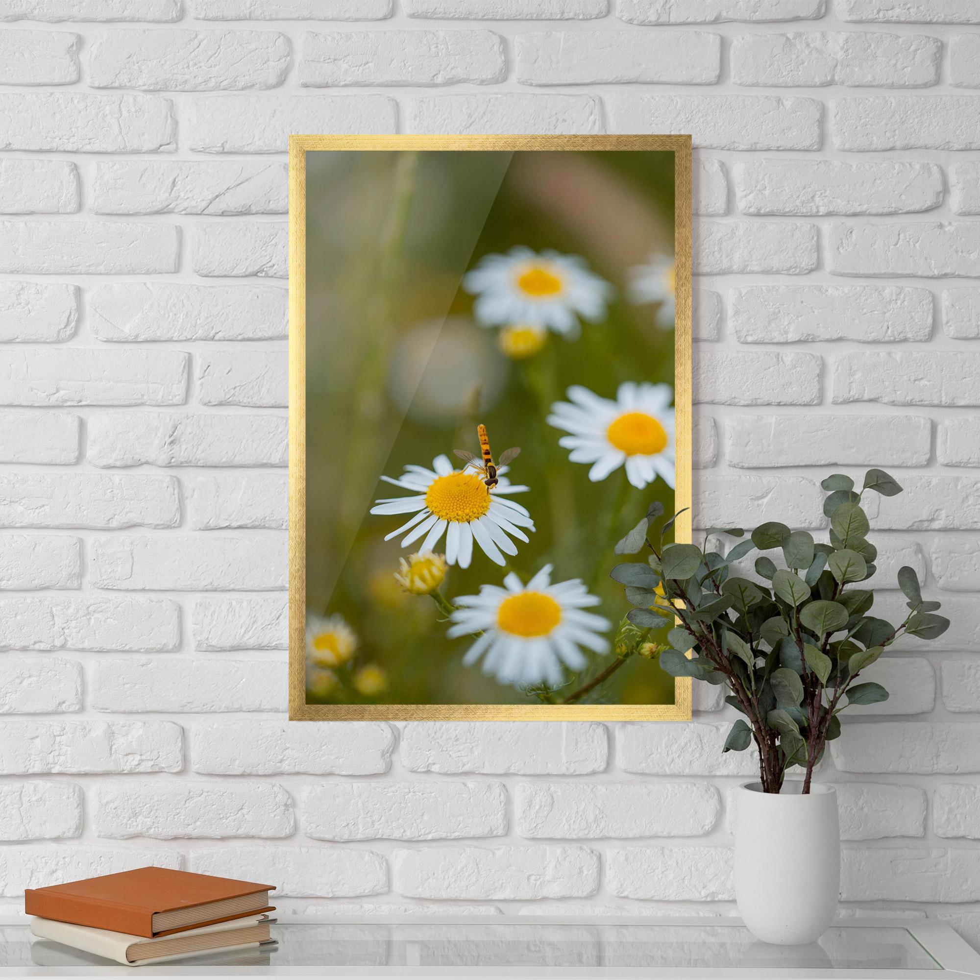 Poster Înrămat Bug On Small Daisy mockup 5