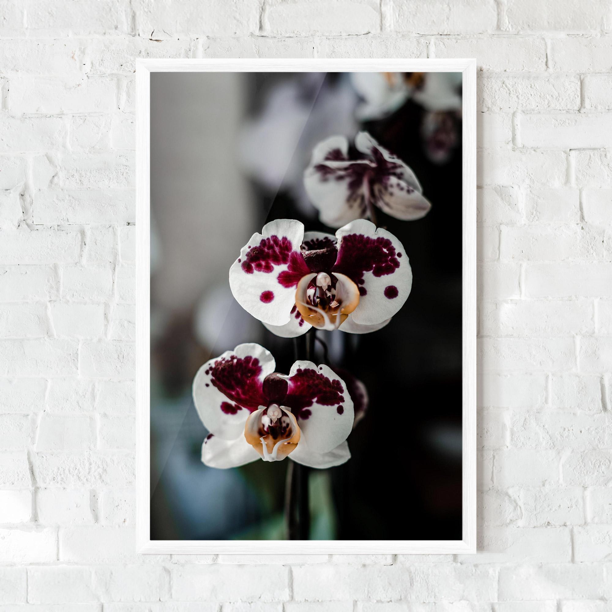 Poster Înrămat Dark Purple Orchid mockup 0