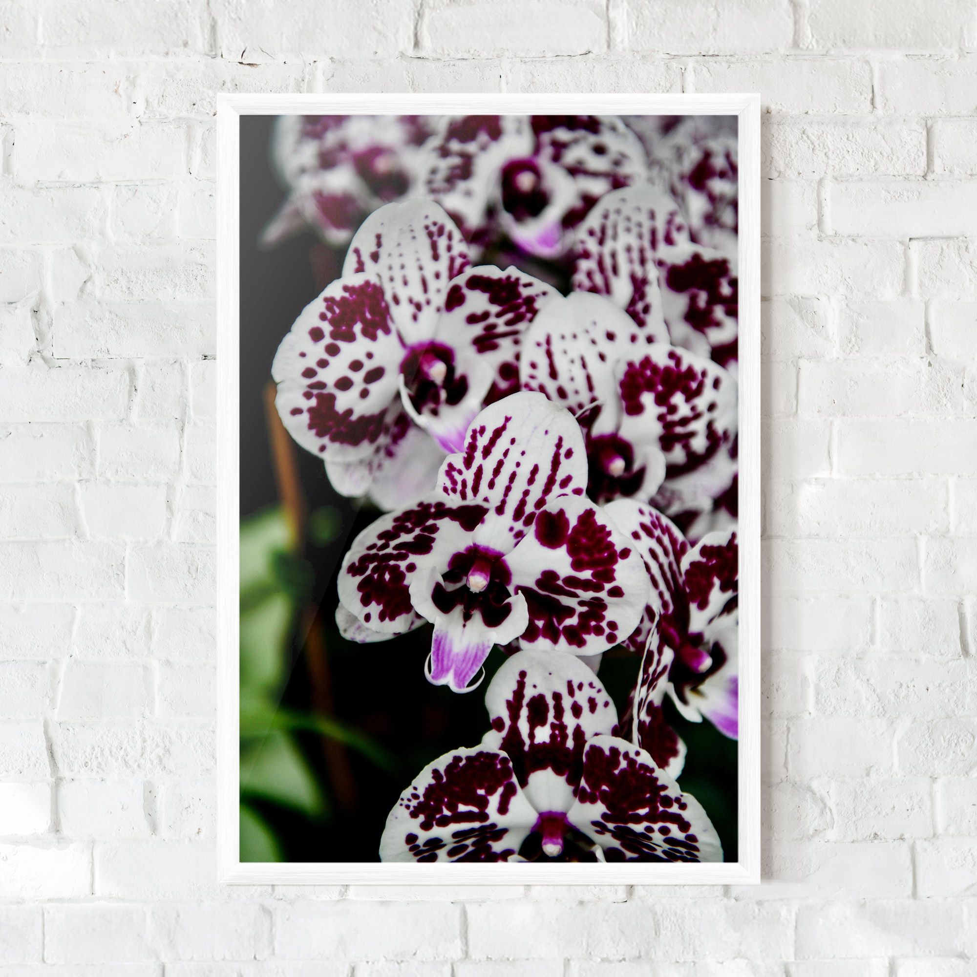 Dark Purple Orchids mockup 0