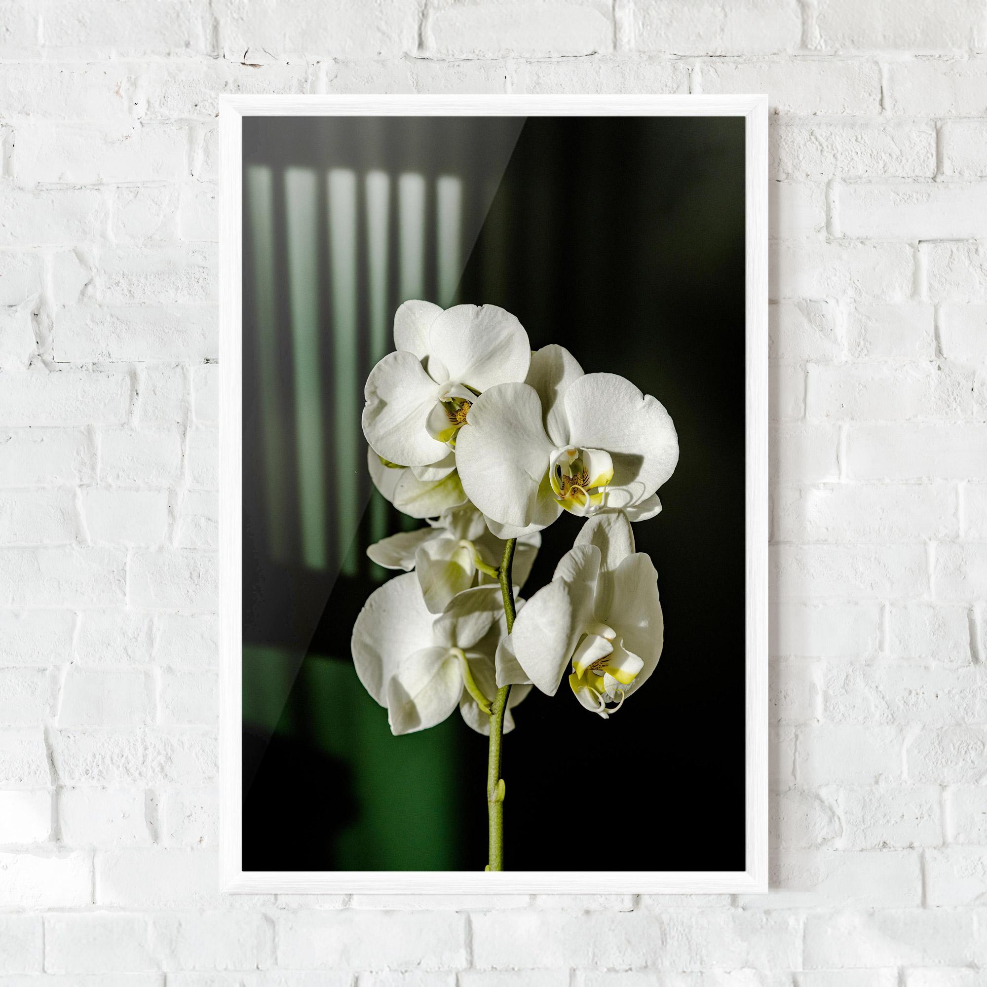Poster Înrămat Orchid On Green mockup 0