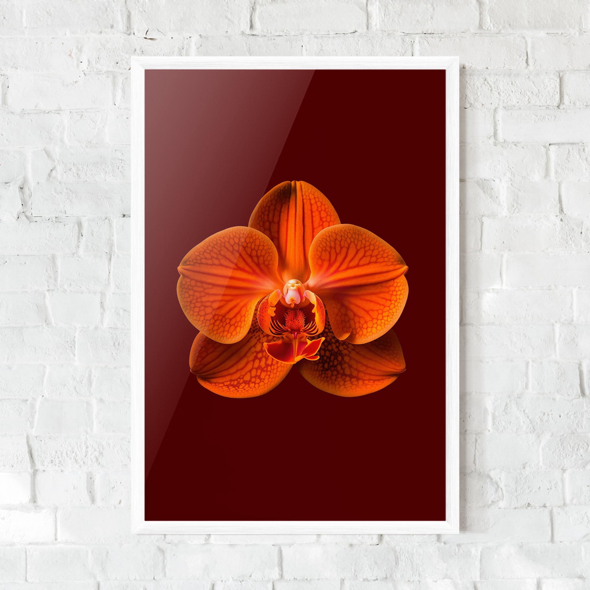 Poster Înrămat Strong Orange Orchid mockup 0