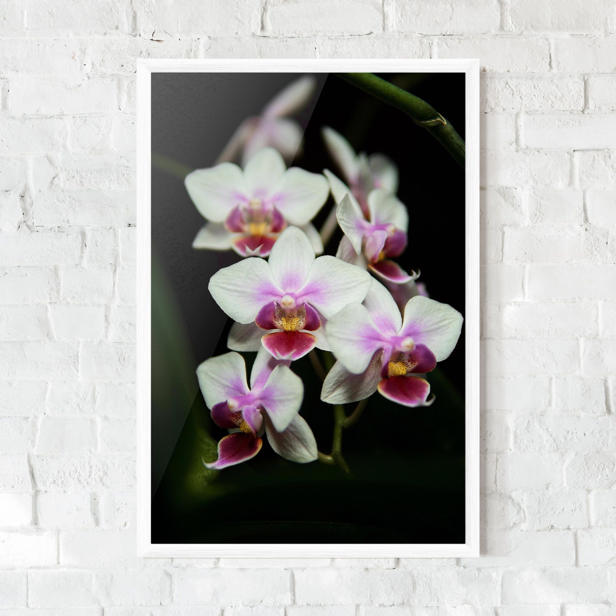 Wild White Purple Orchid mockup 0