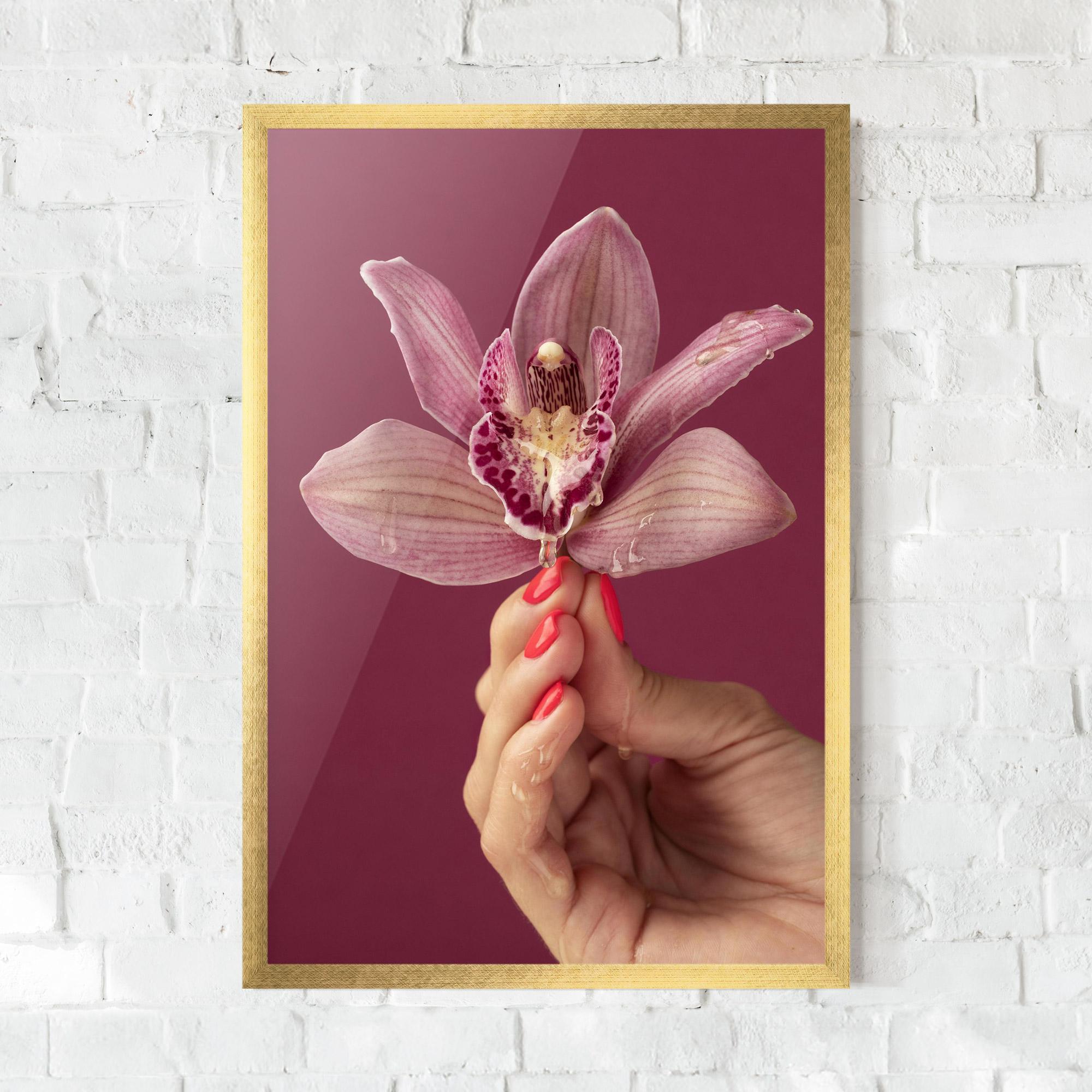 Poster Înrămat Orchid Holding mockup 0