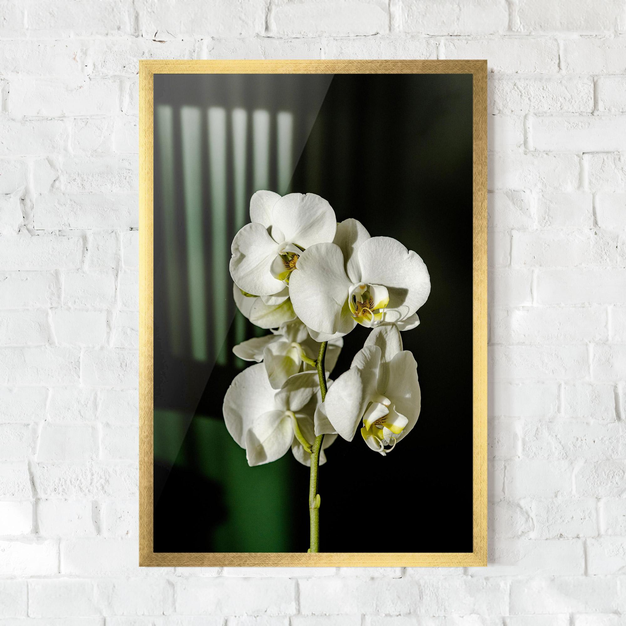 Poster Înrămat Orchid On Green mockup 0