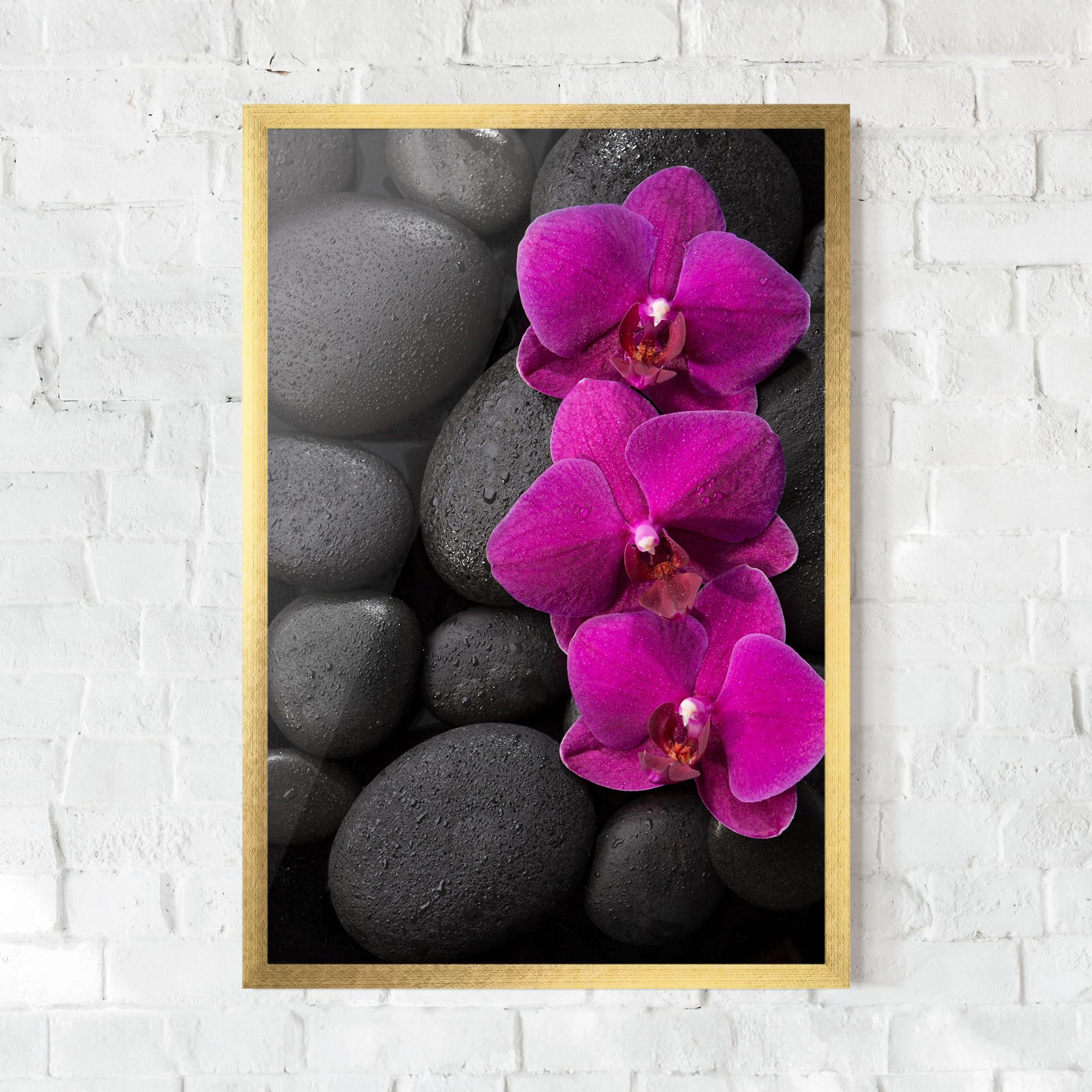 Poster Înrămat Purple Orchid On Rocks mockup 0