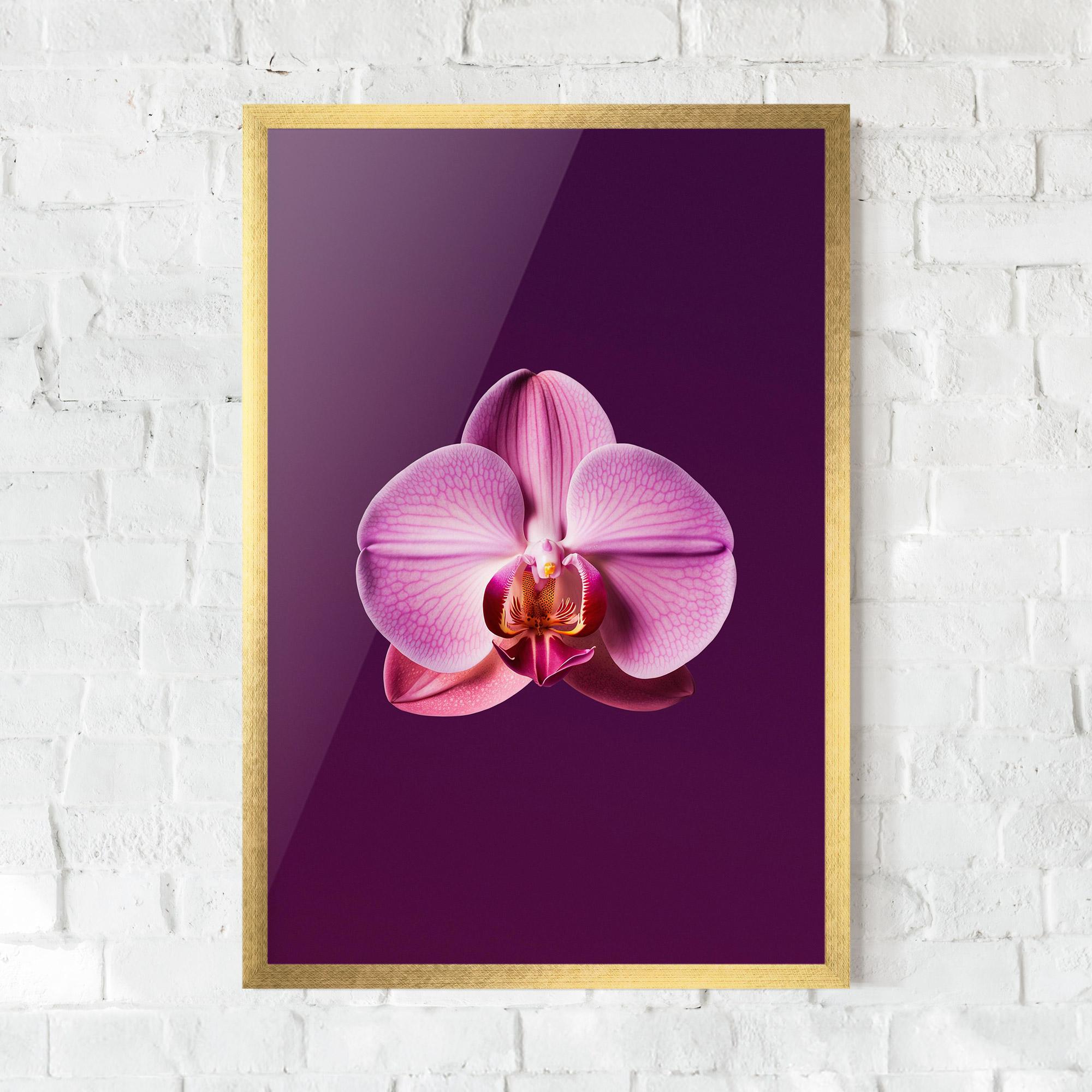 Poster Înrămat Purple Orchid mockup 0