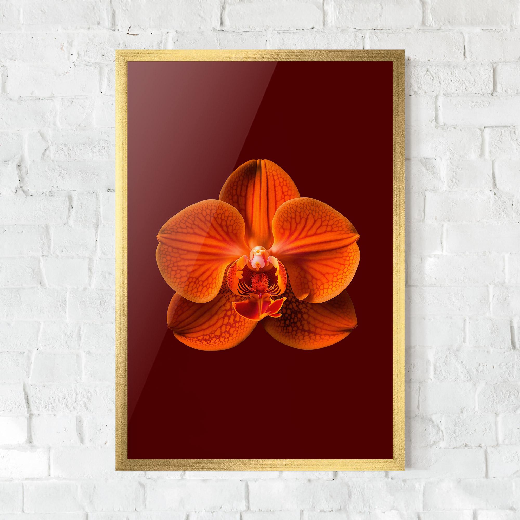 Poster Înrămat Strong Orange Orchid mockup 0