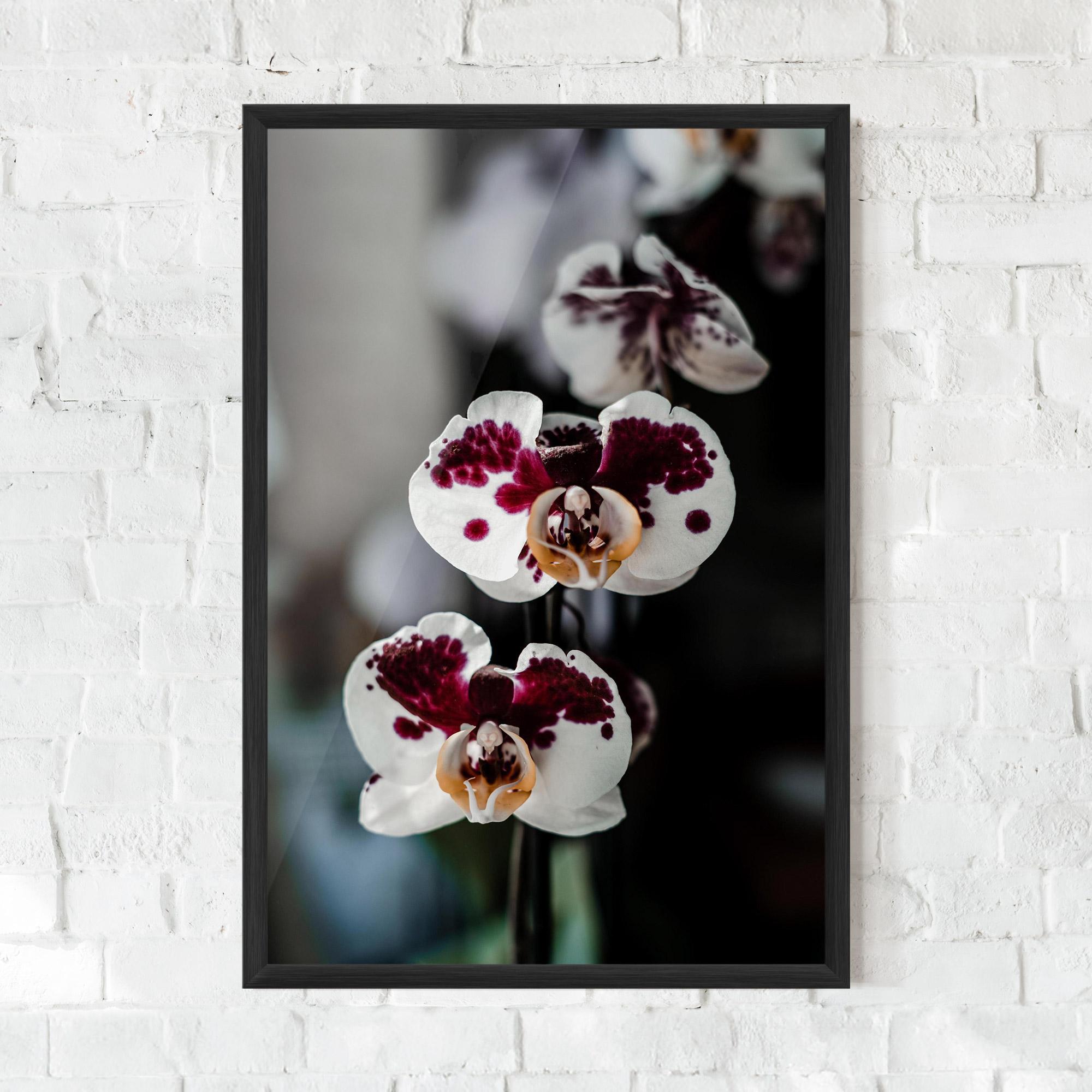 Poster Înrămat Dark Purple Orchid mockup 0