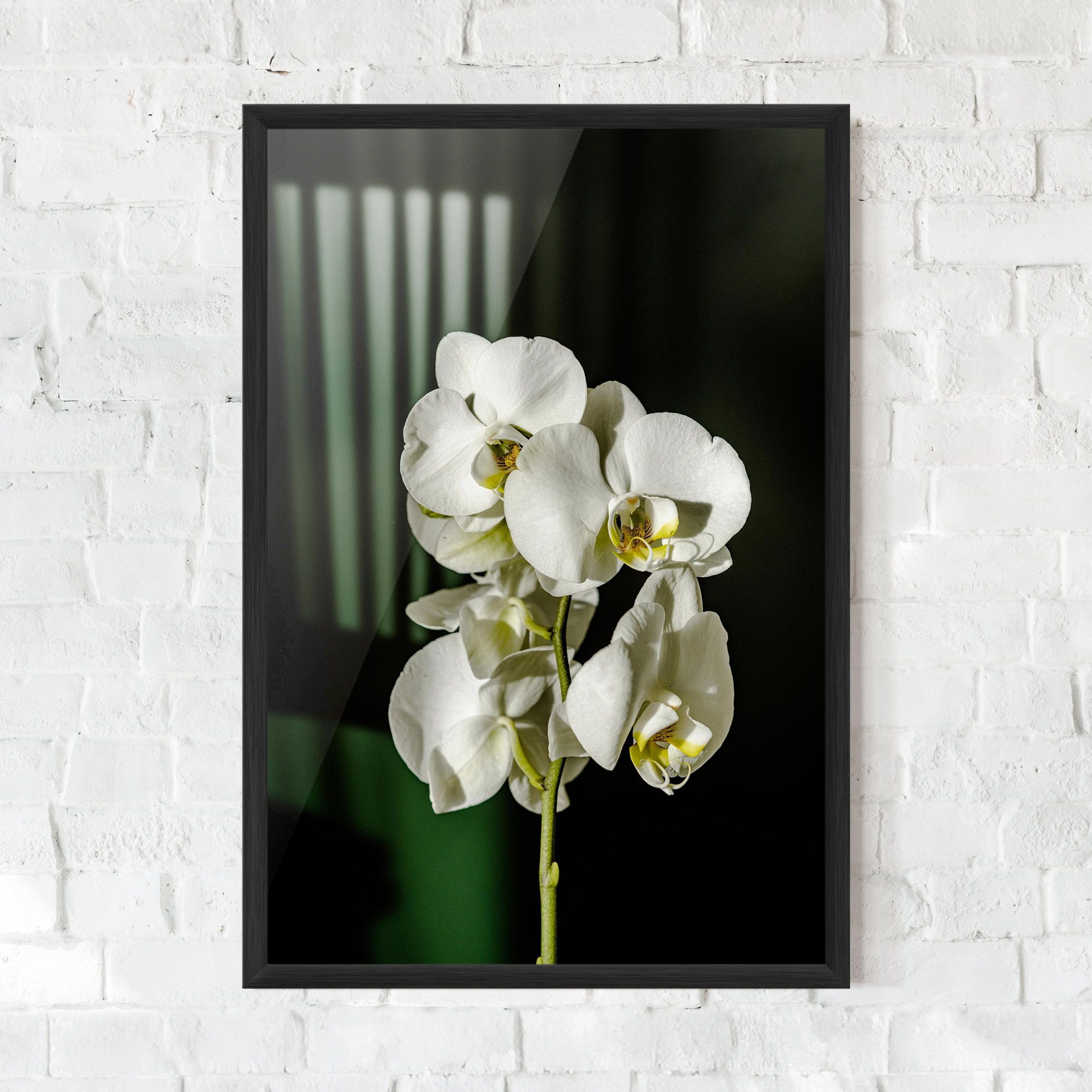 Orchid On Green mockup 0
