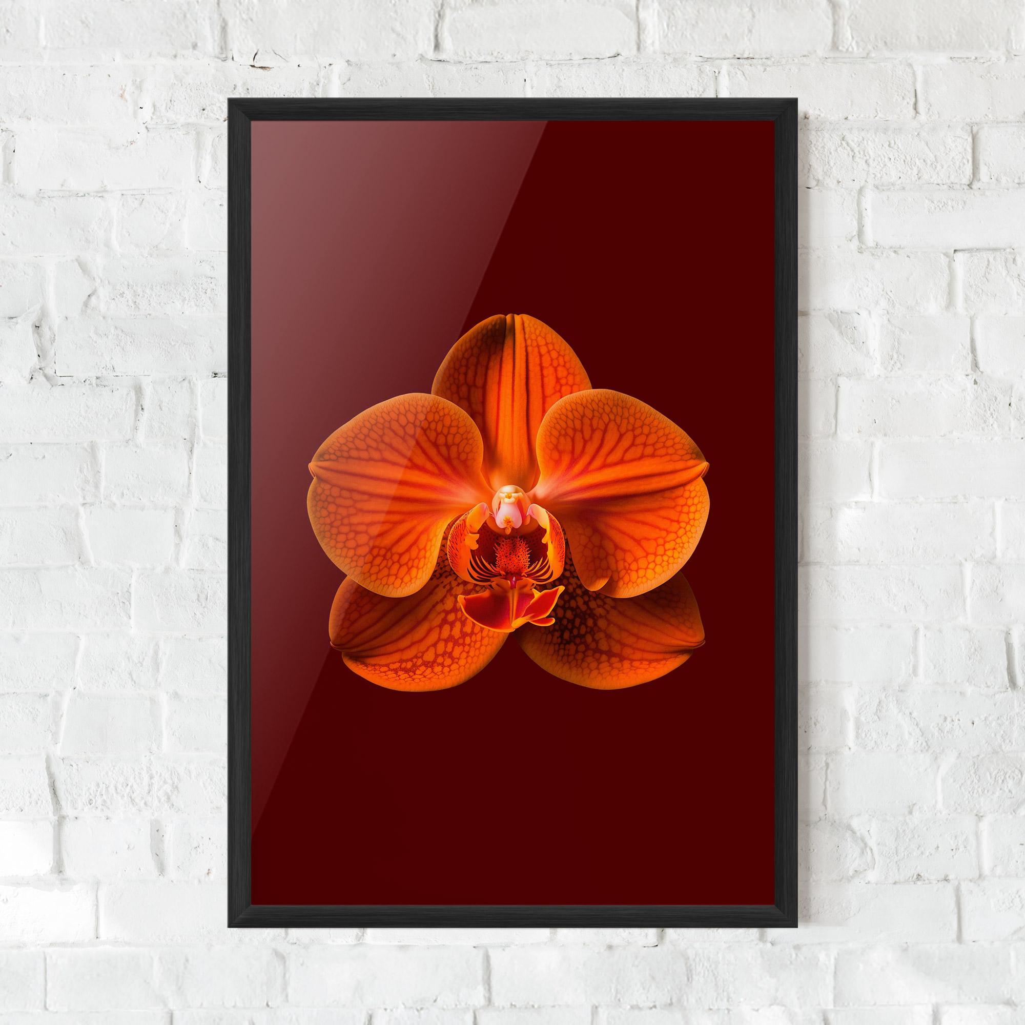 Poster Înrămat Strong Orange Orchid mockup 0