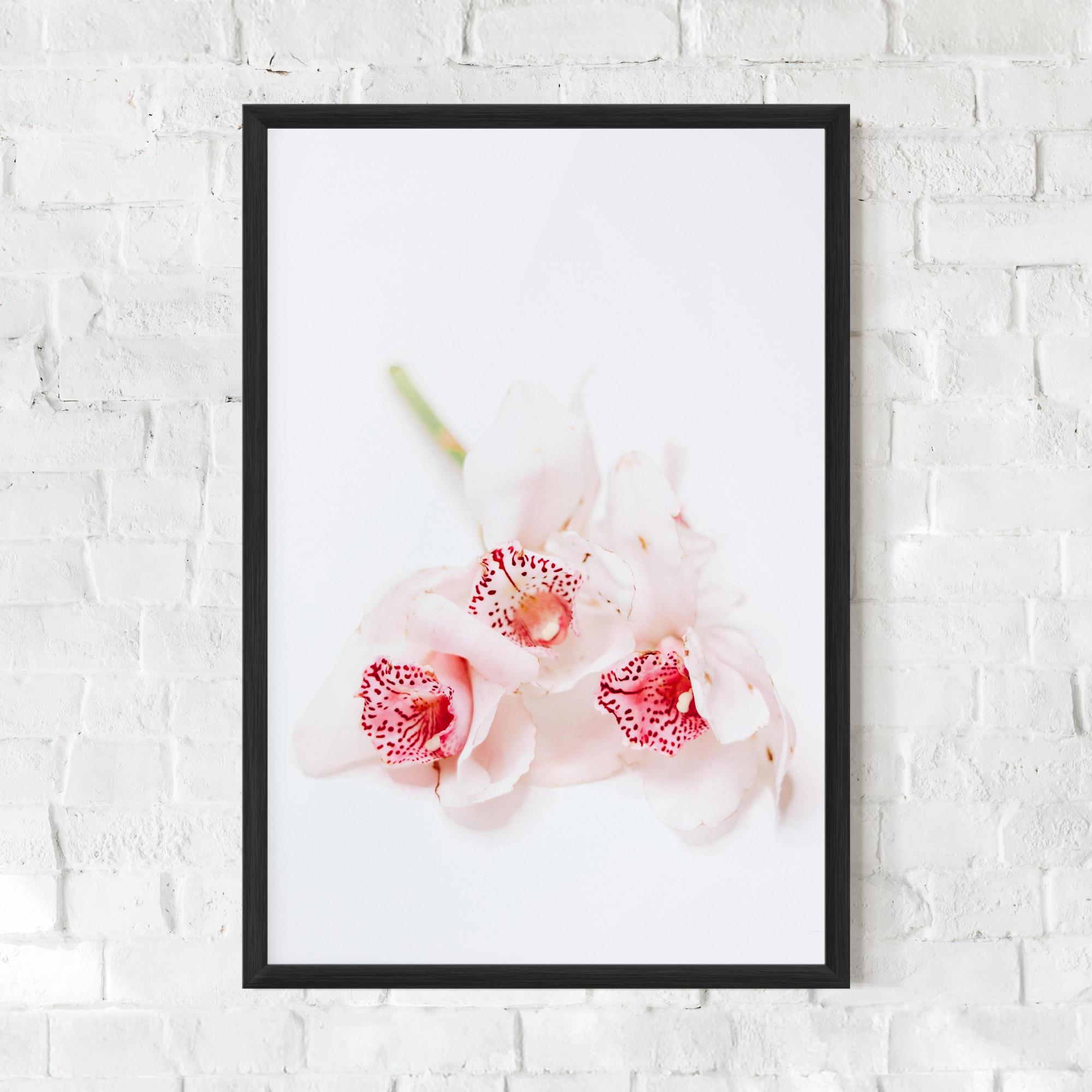 Poster Înrămat White Orchid With Pink mockup 0
