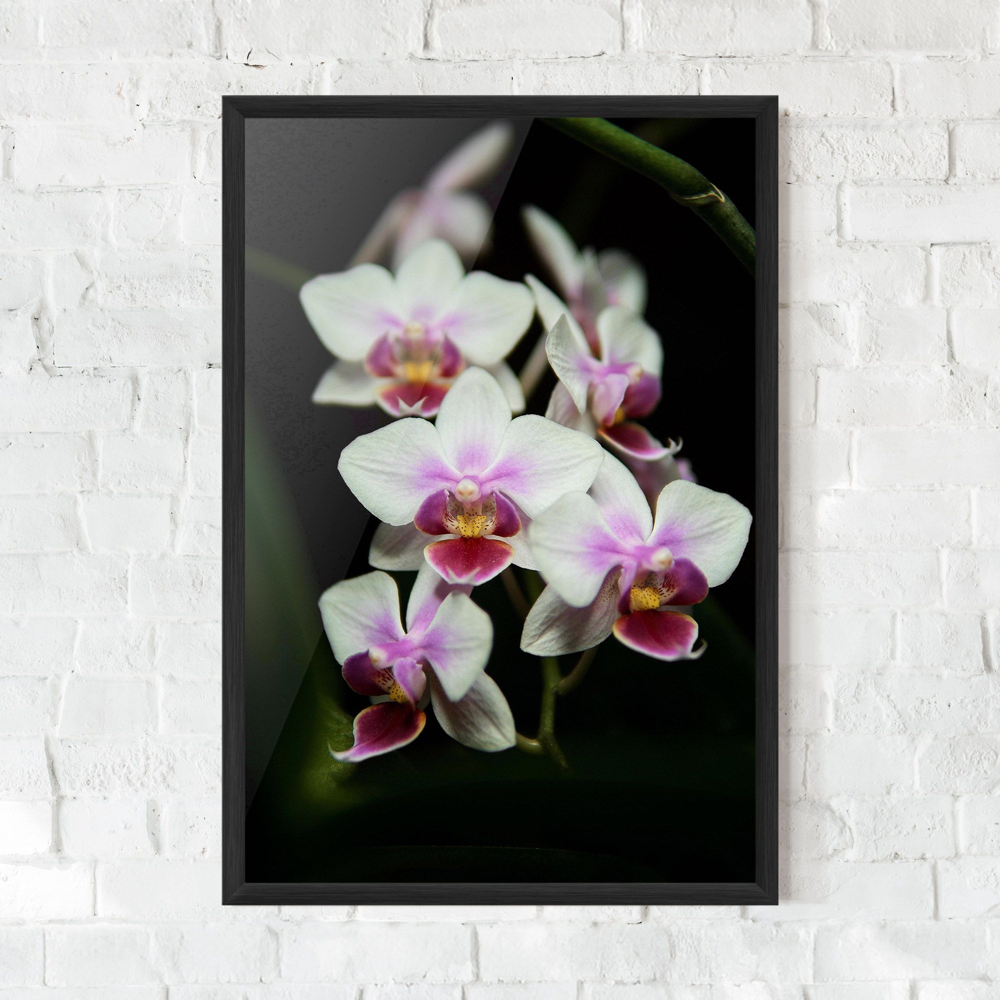 Wild White Purple Orchid mockup 0