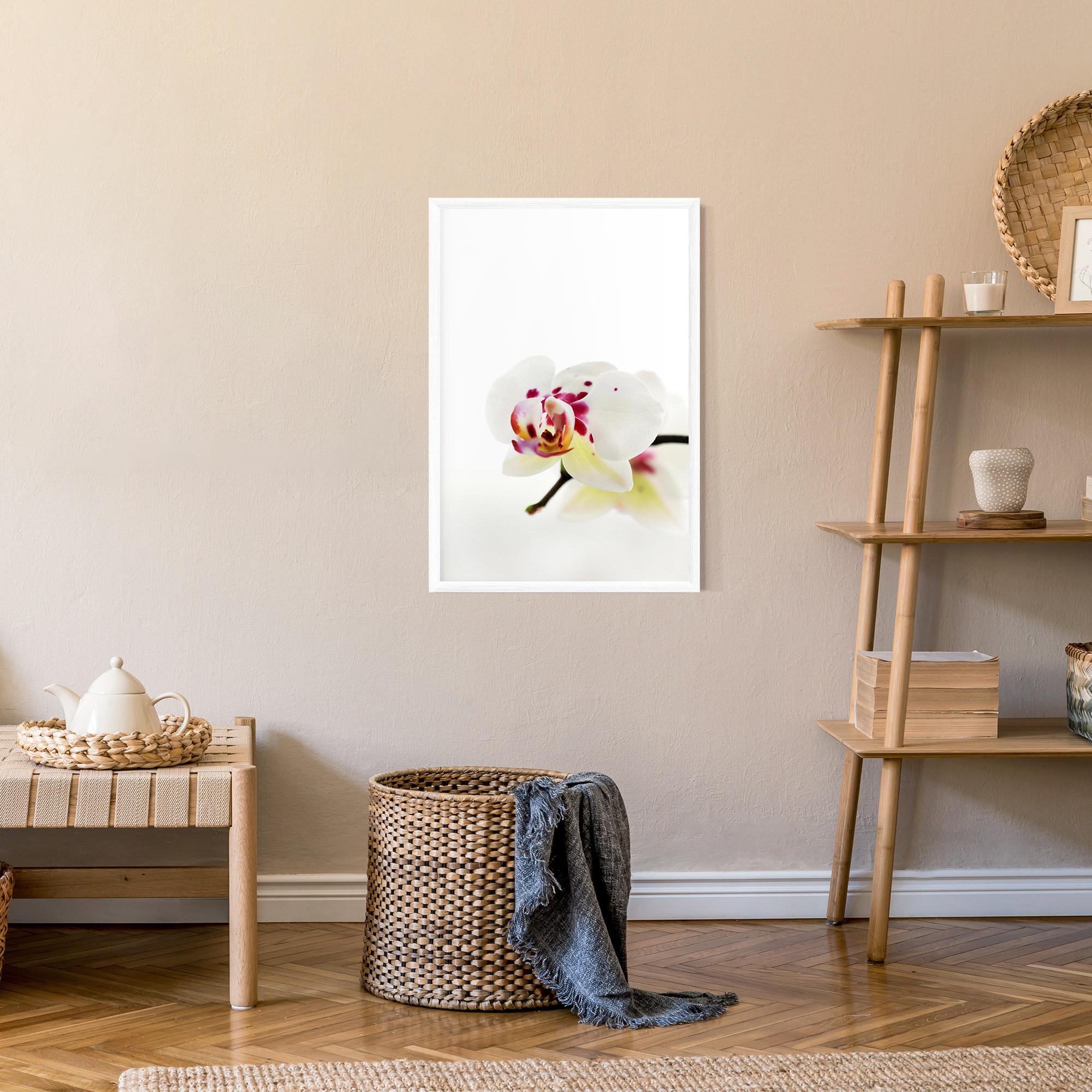 Poster Înrămat Clean White Orchid mockup 9