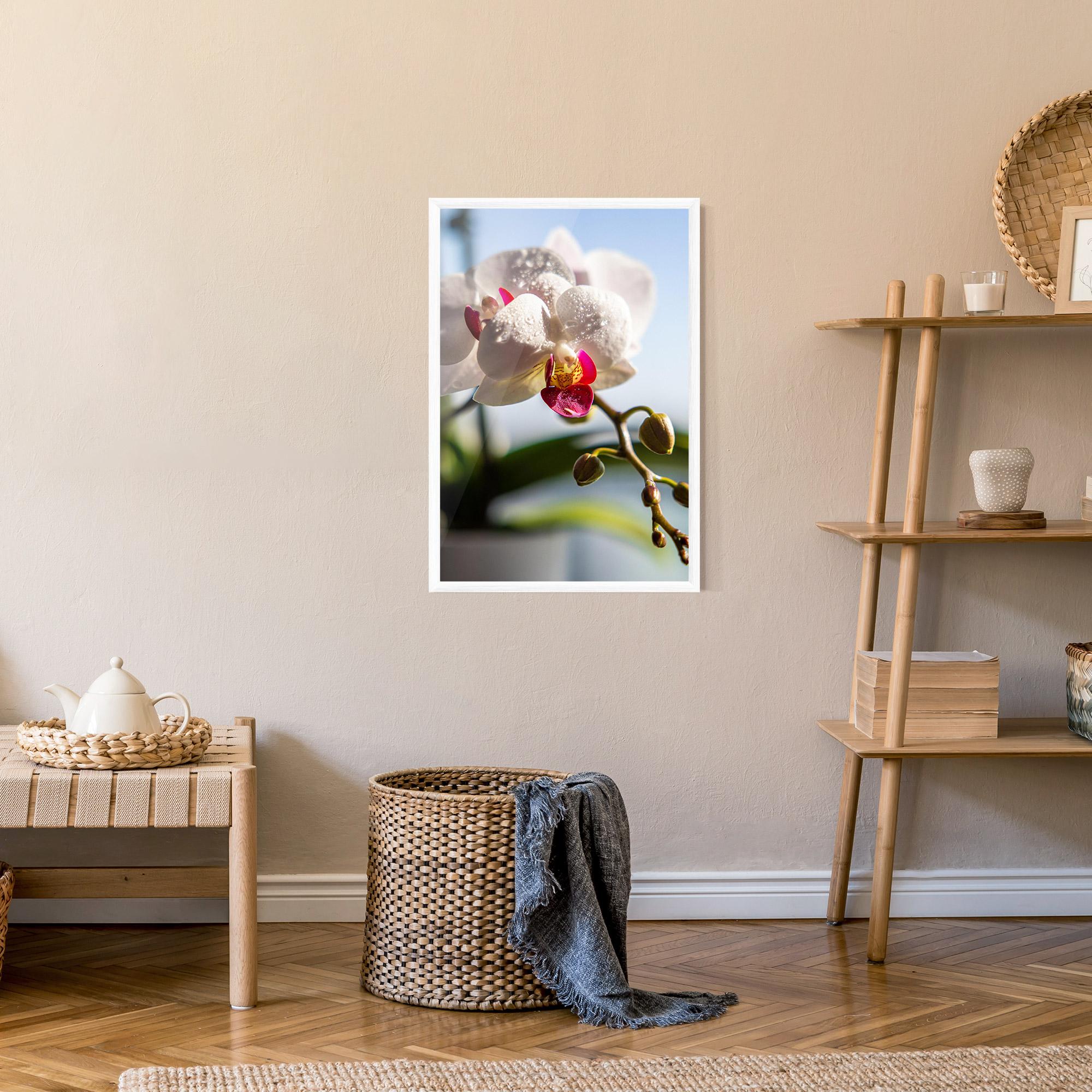 Poster Înrămat White Orchid With Water mockup 9