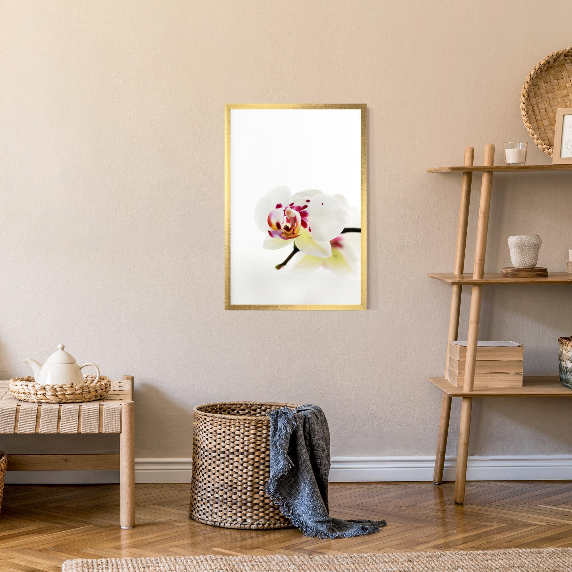 Poster Înrămat Clean White Orchid mockup 9