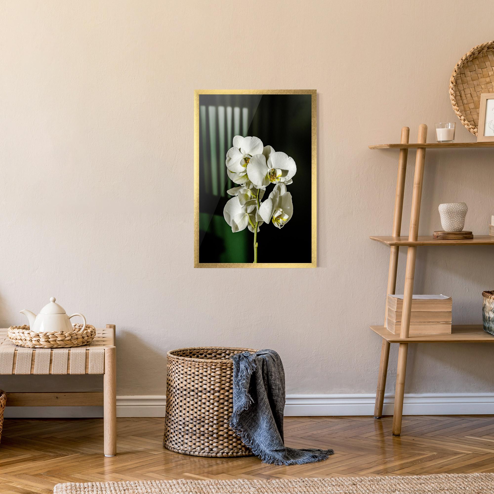 Poster Înrămat Orchid On Green mockup 9