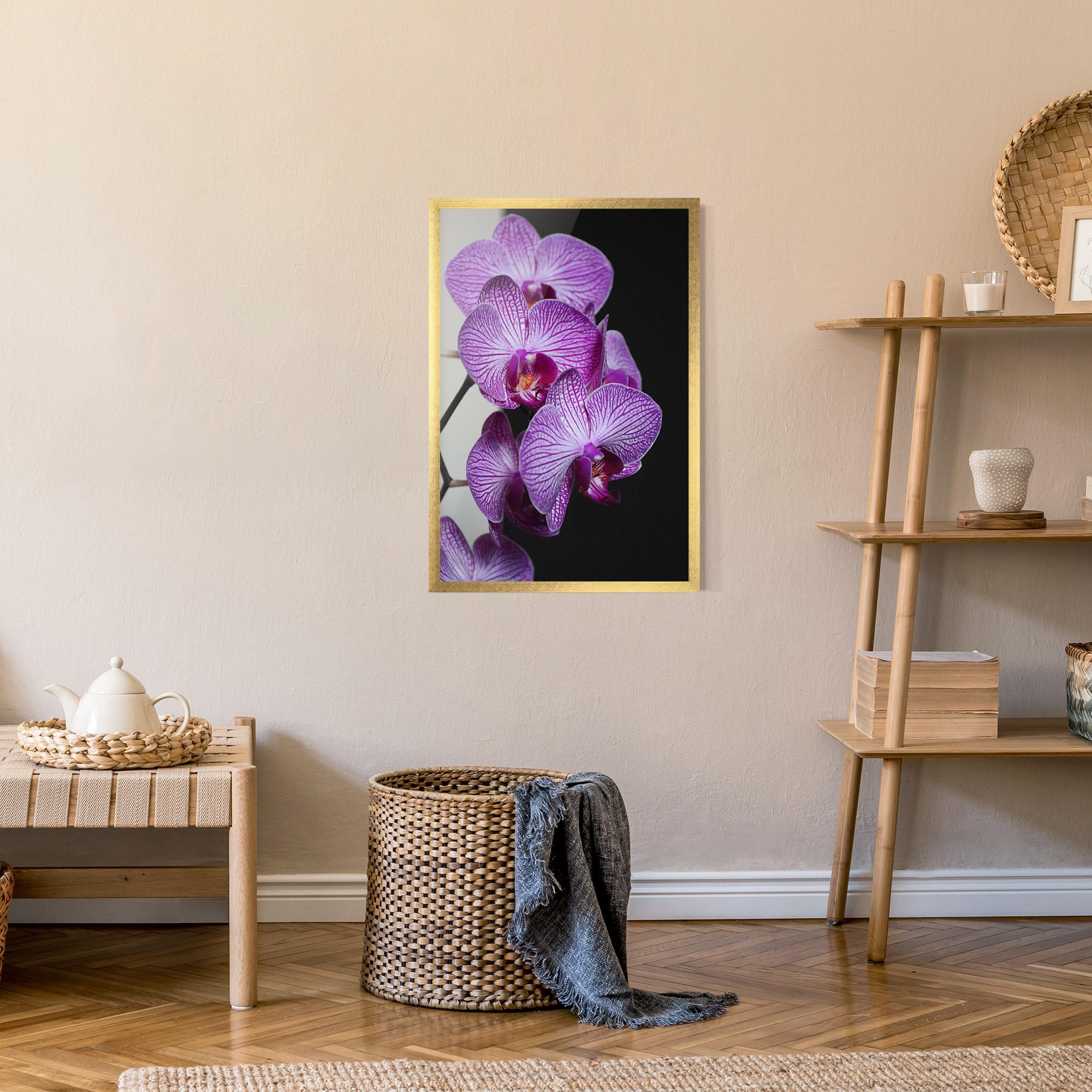 Poster Înrămat Purple Orchid On Black mockup 9