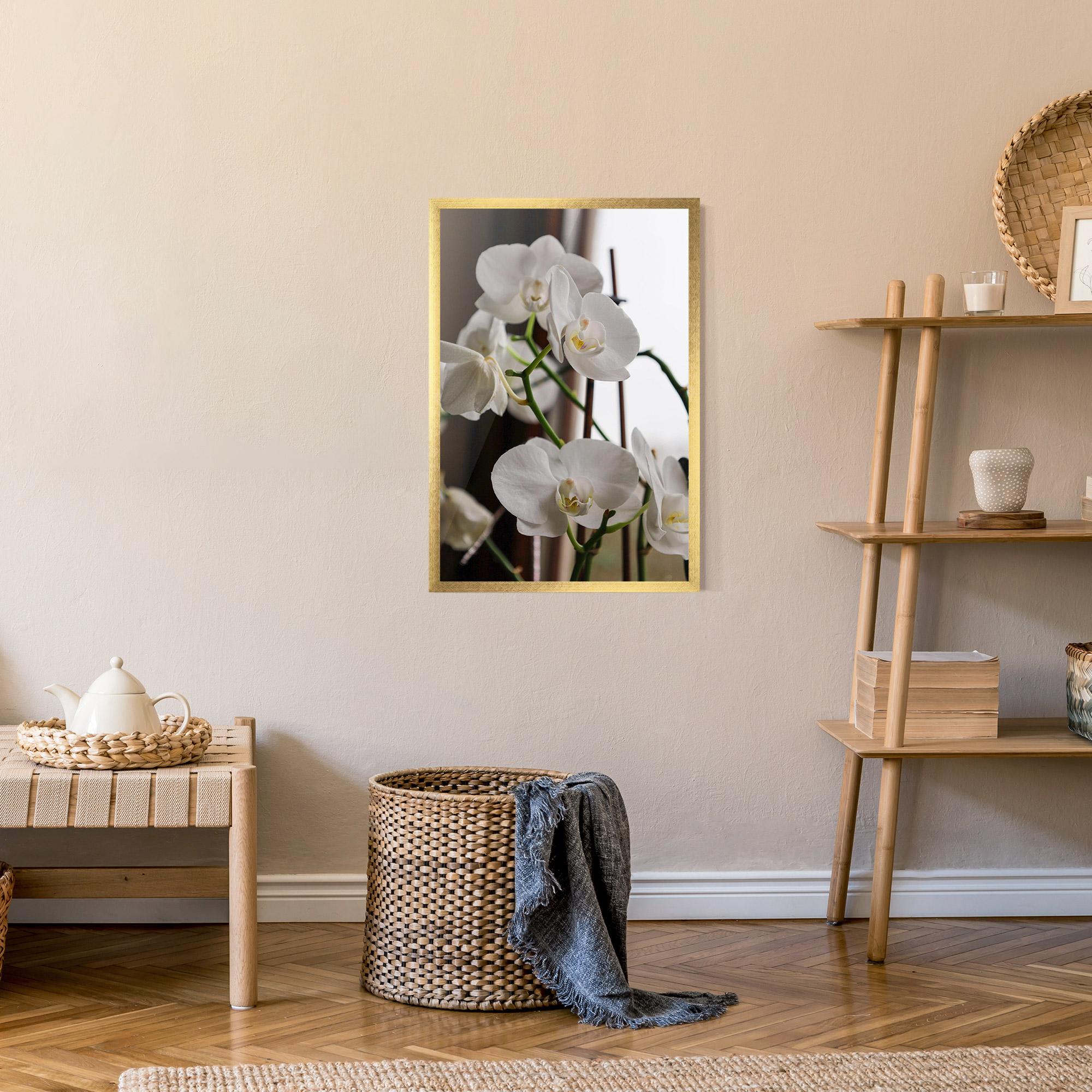 Poster Înrămat White Orchid Growing mockup 9