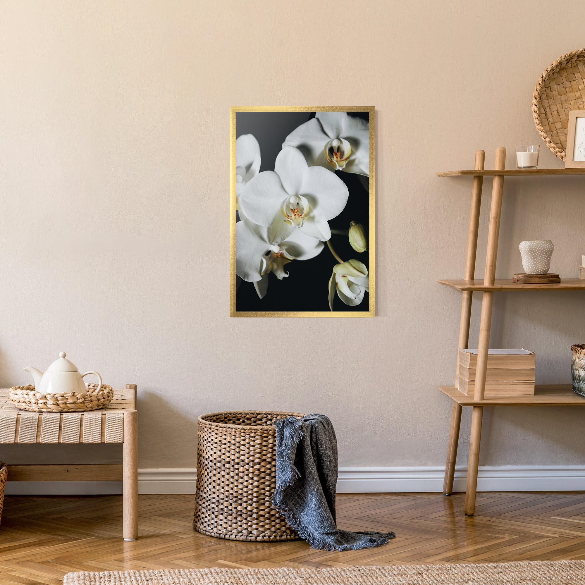 Poster Înrămat White Orchid On Black mockup 9