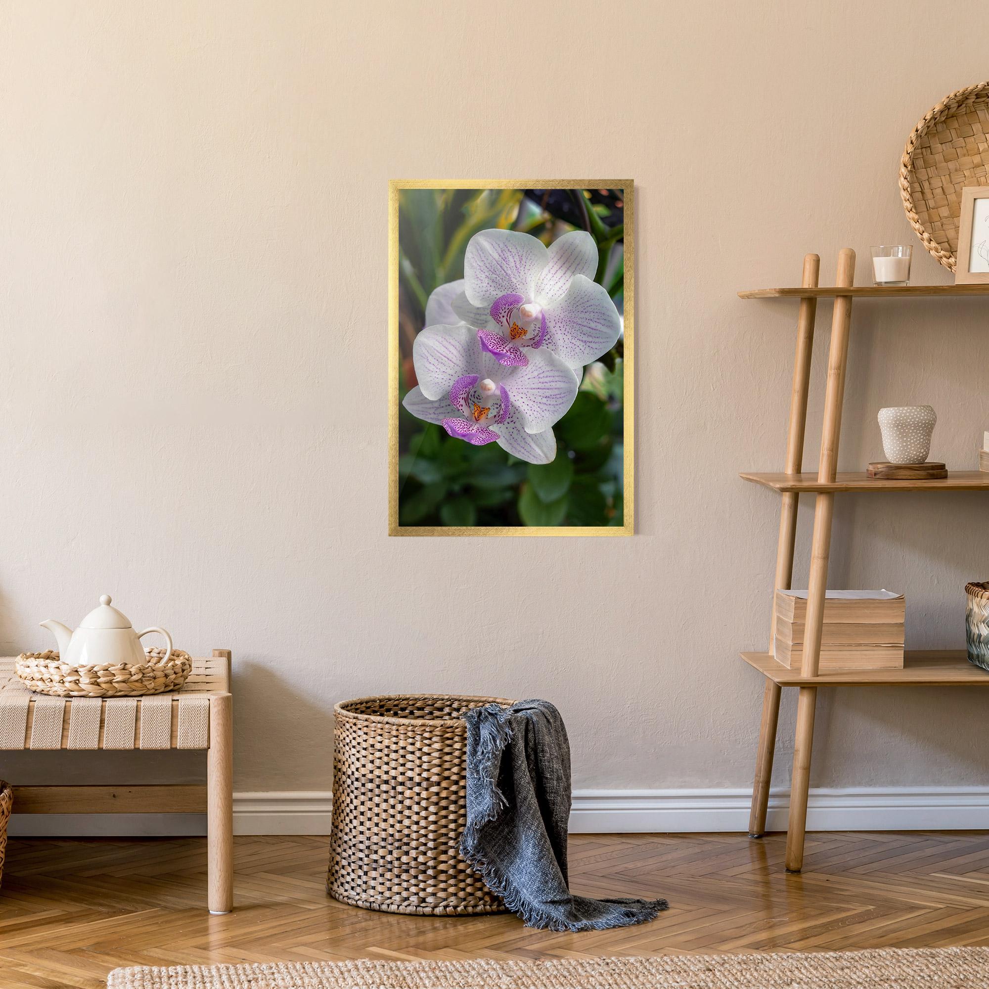 Poster Înrămat White Orchids mockup 9