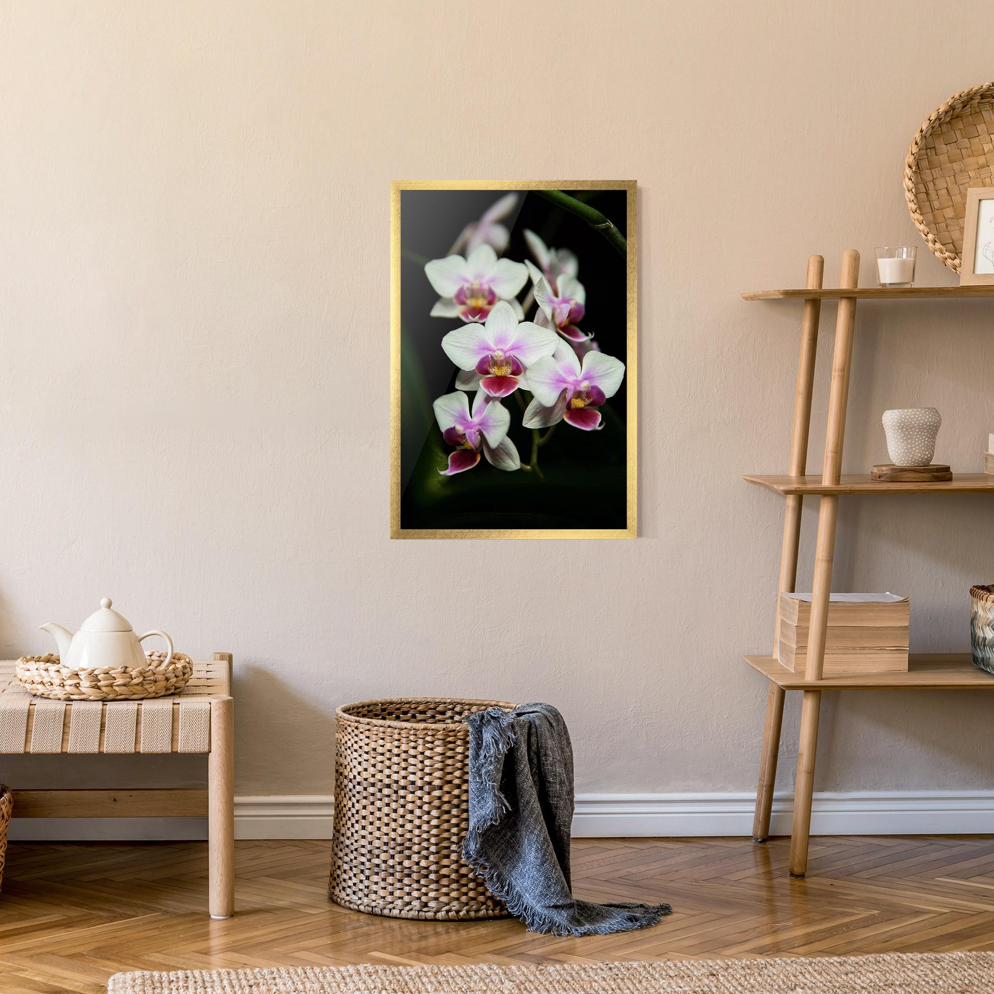 Poster Înrămat Wild White Purple Orchid mockup 9