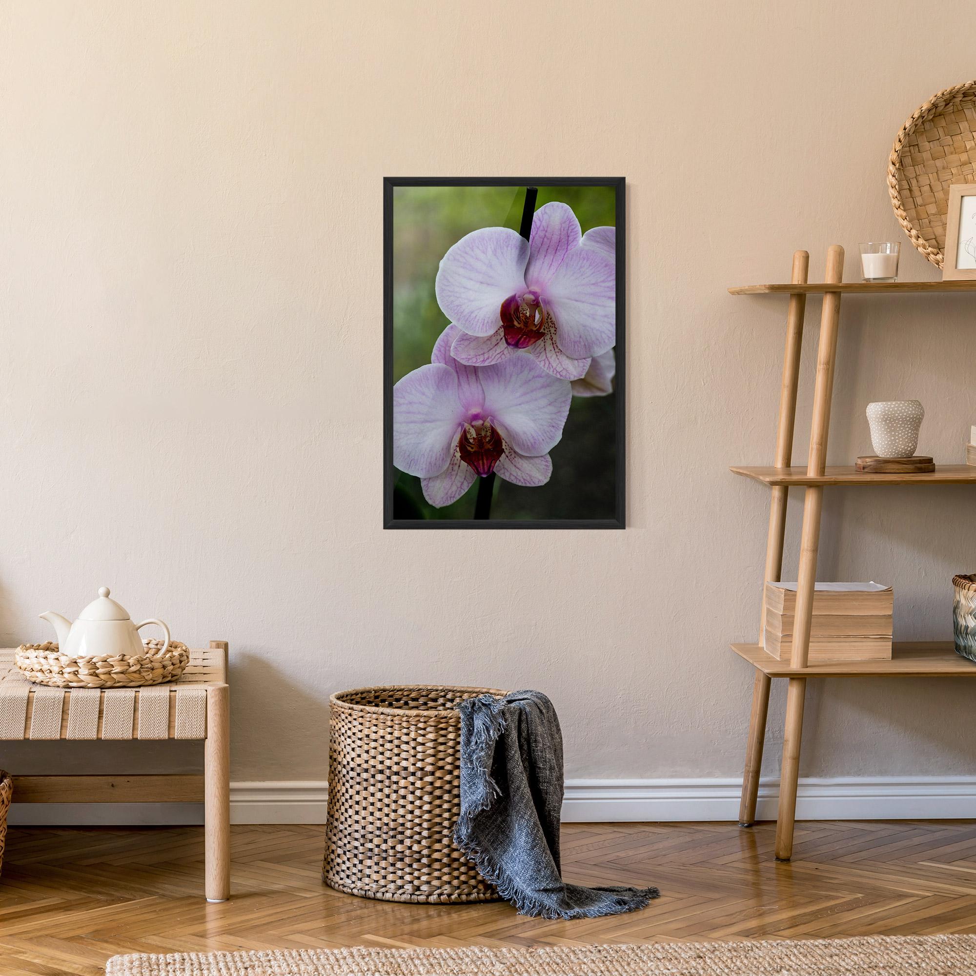 Poster Înrămat Garden Light Purple Orchid mockup 9