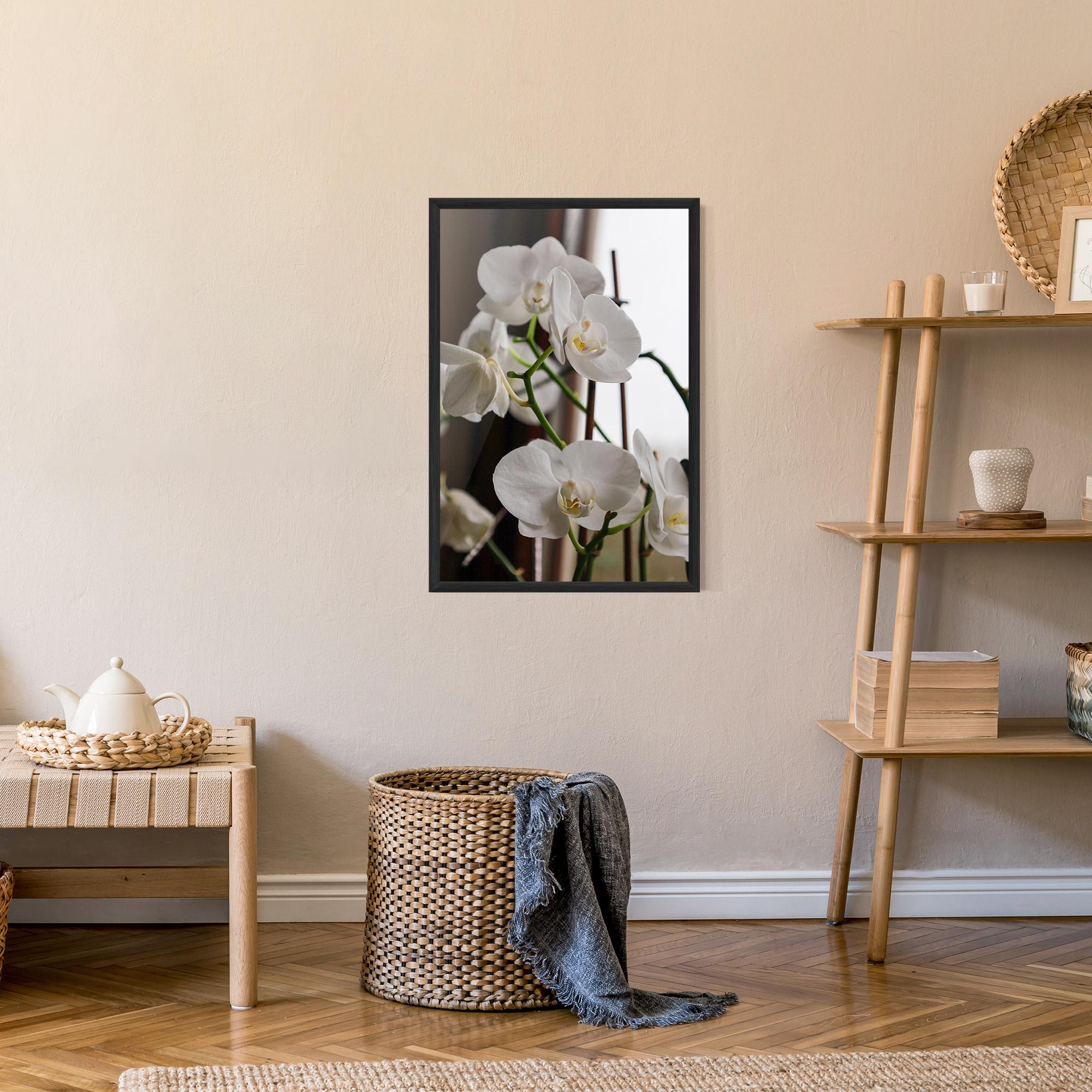 Poster Înrămat White Orchid Growing mockup 9