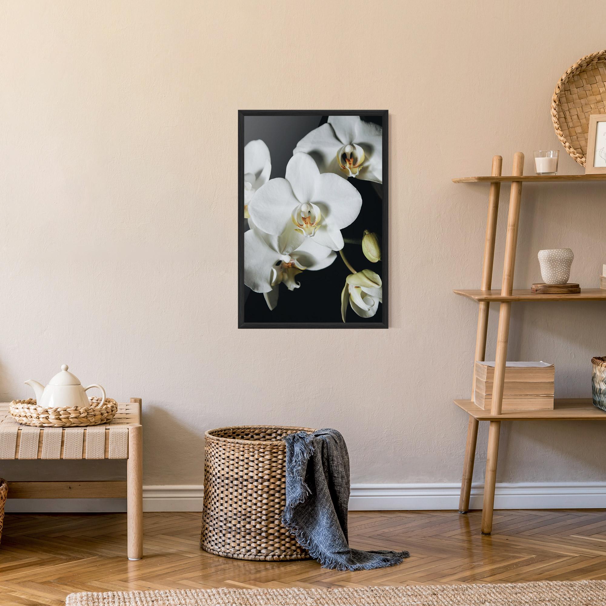 Poster Înrămat White Orchid On Black mockup 9
