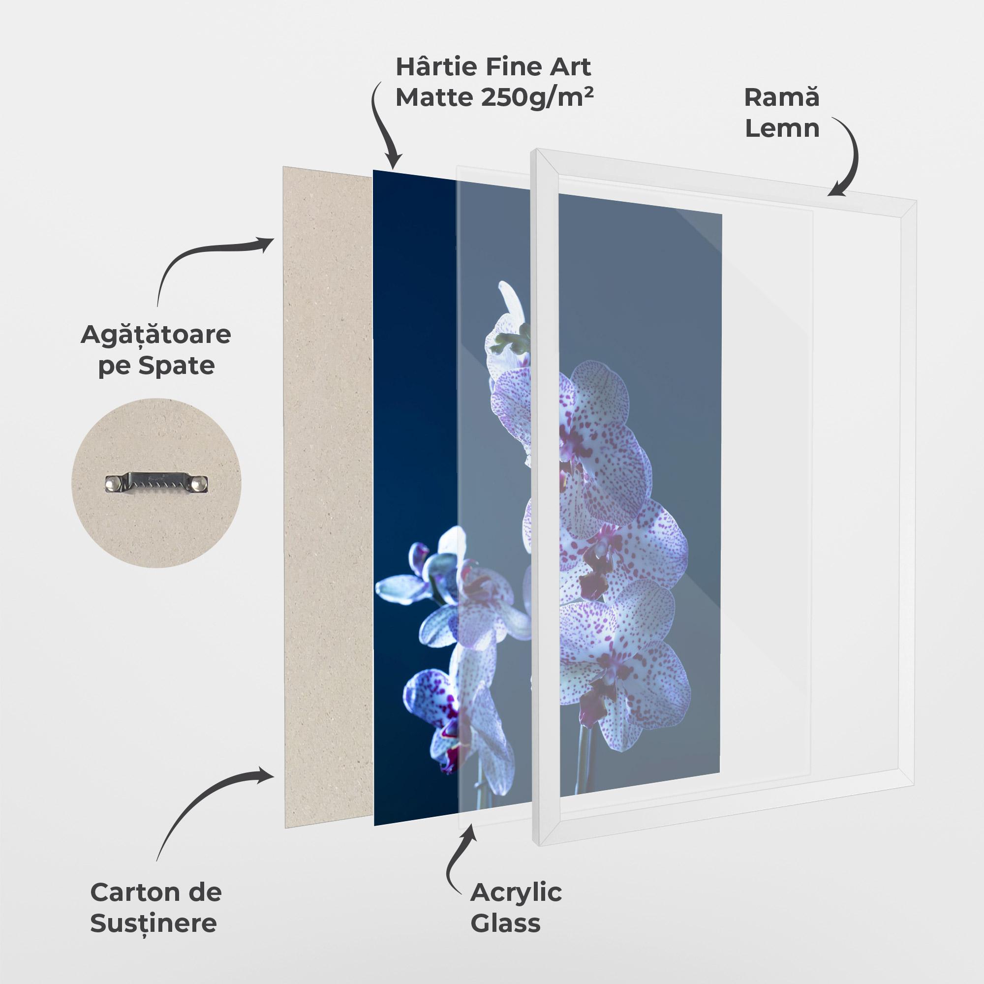 Poster Înrămat Blue Light Orchid mockup 1