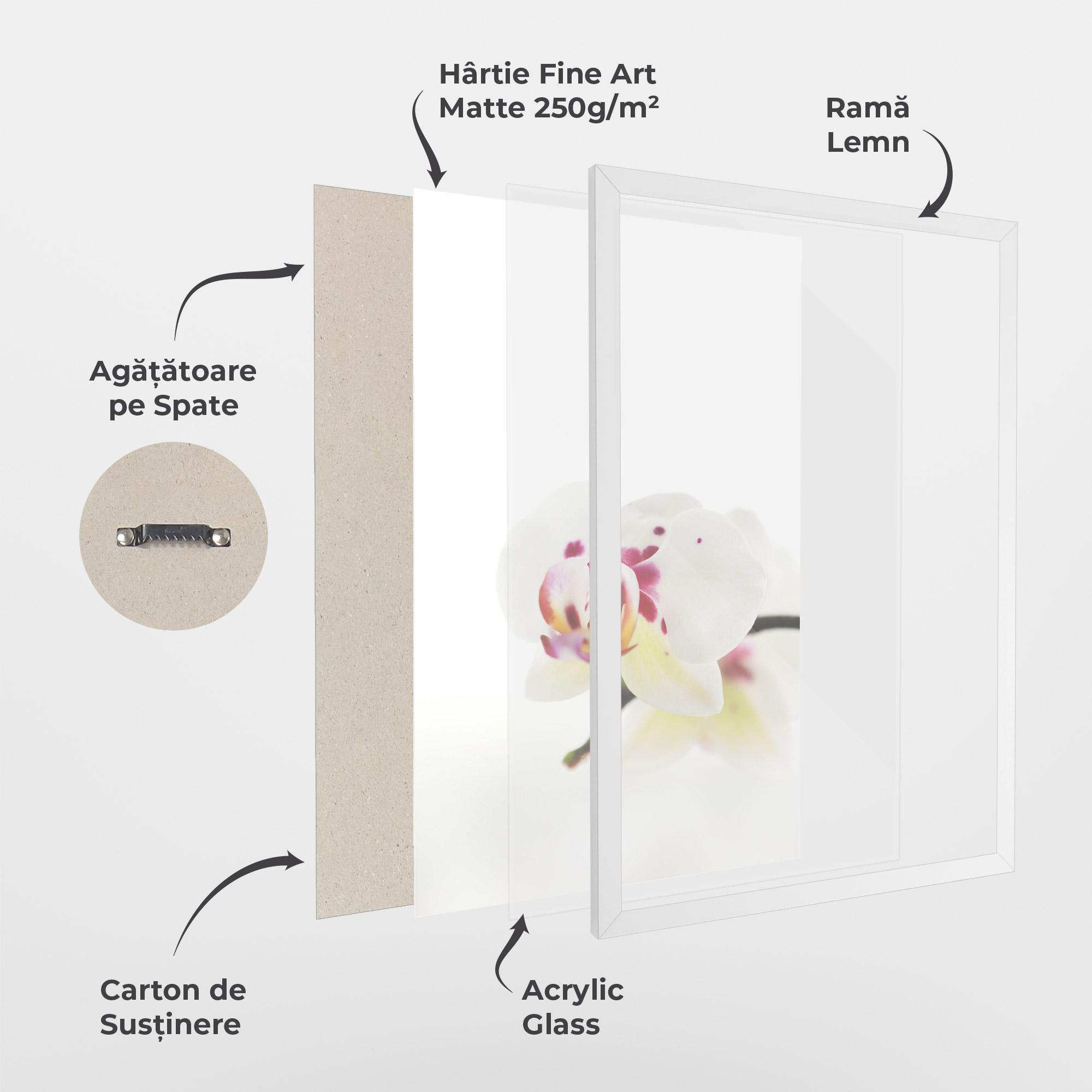 Poster Înrămat Clean White Orchid mockup 1