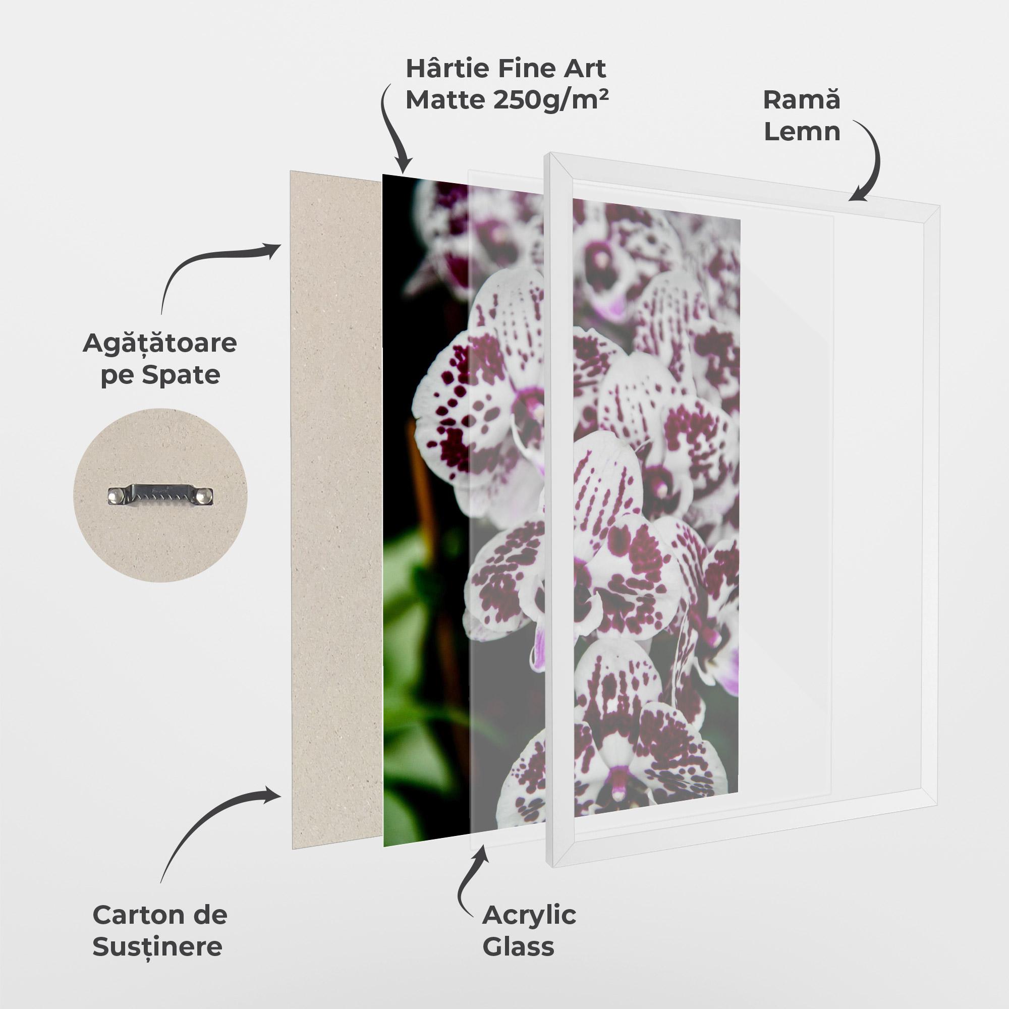 Poster Înrămat Dark Purple Orchids mockup 1