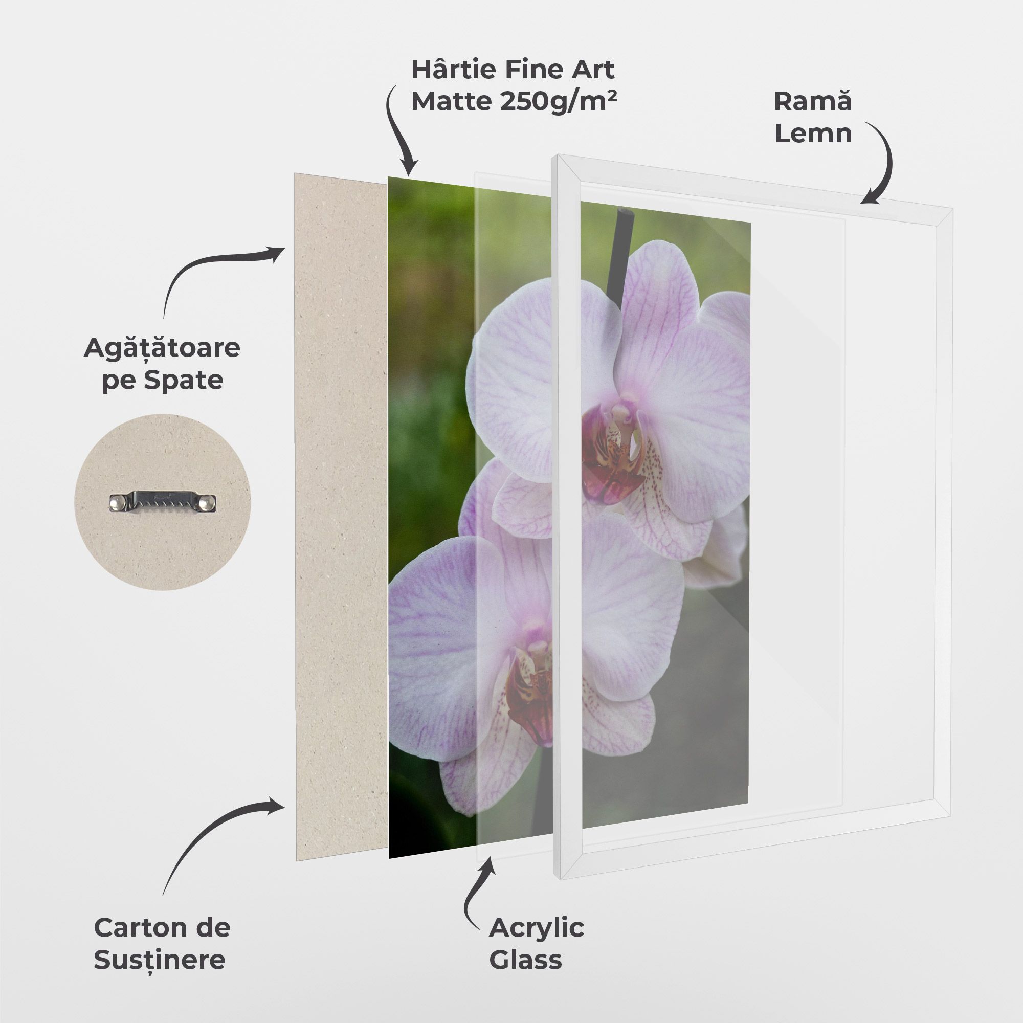 Garden Light Purple Orchid mockup 1